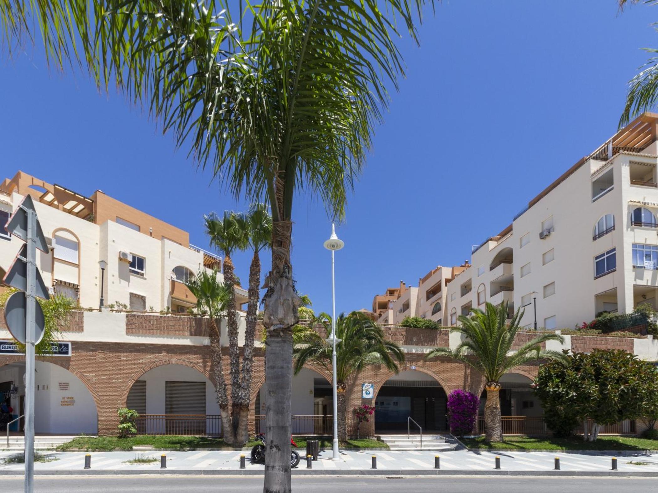 Ap jardines de mariote view 5
