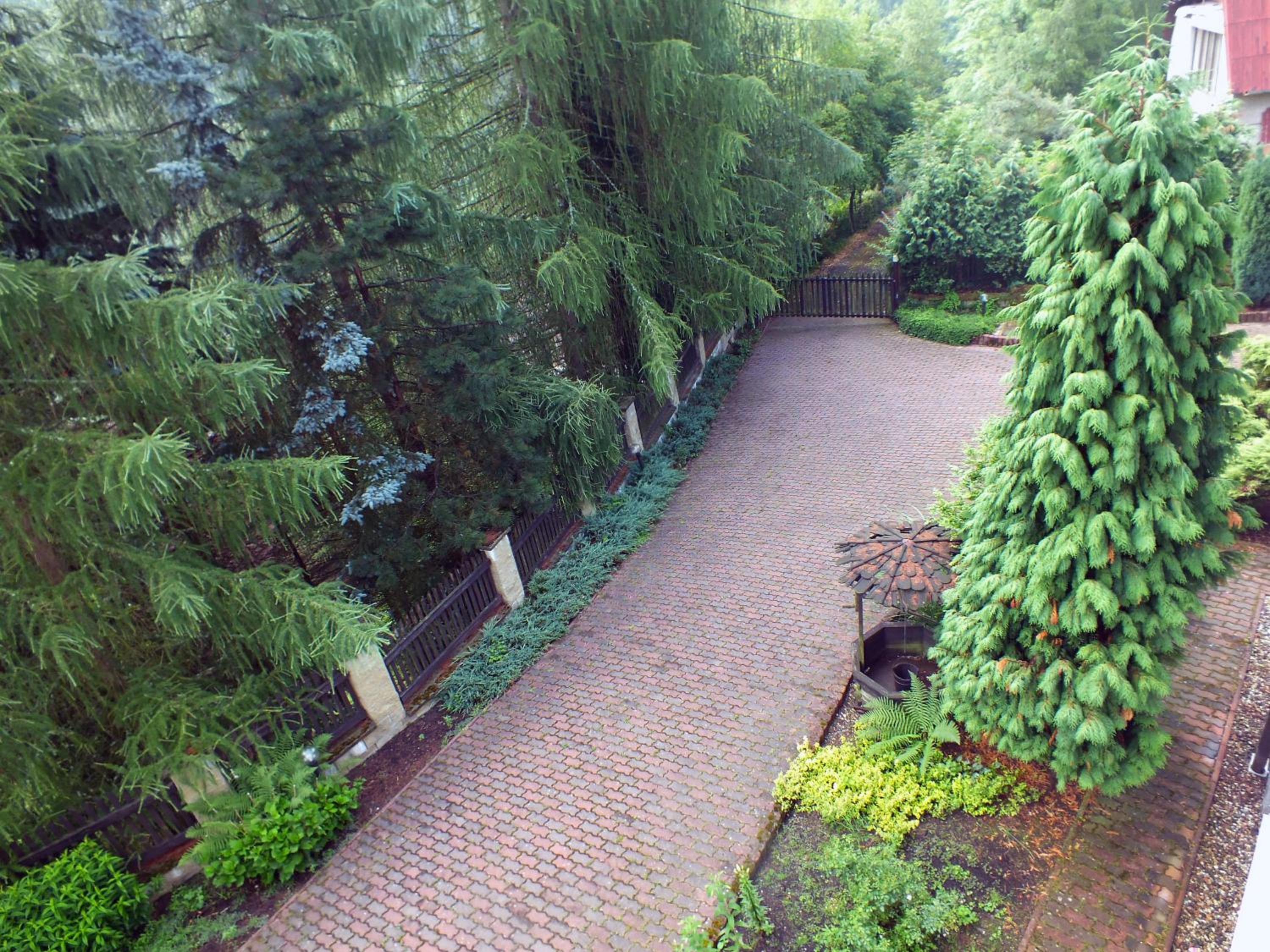 Photo 24