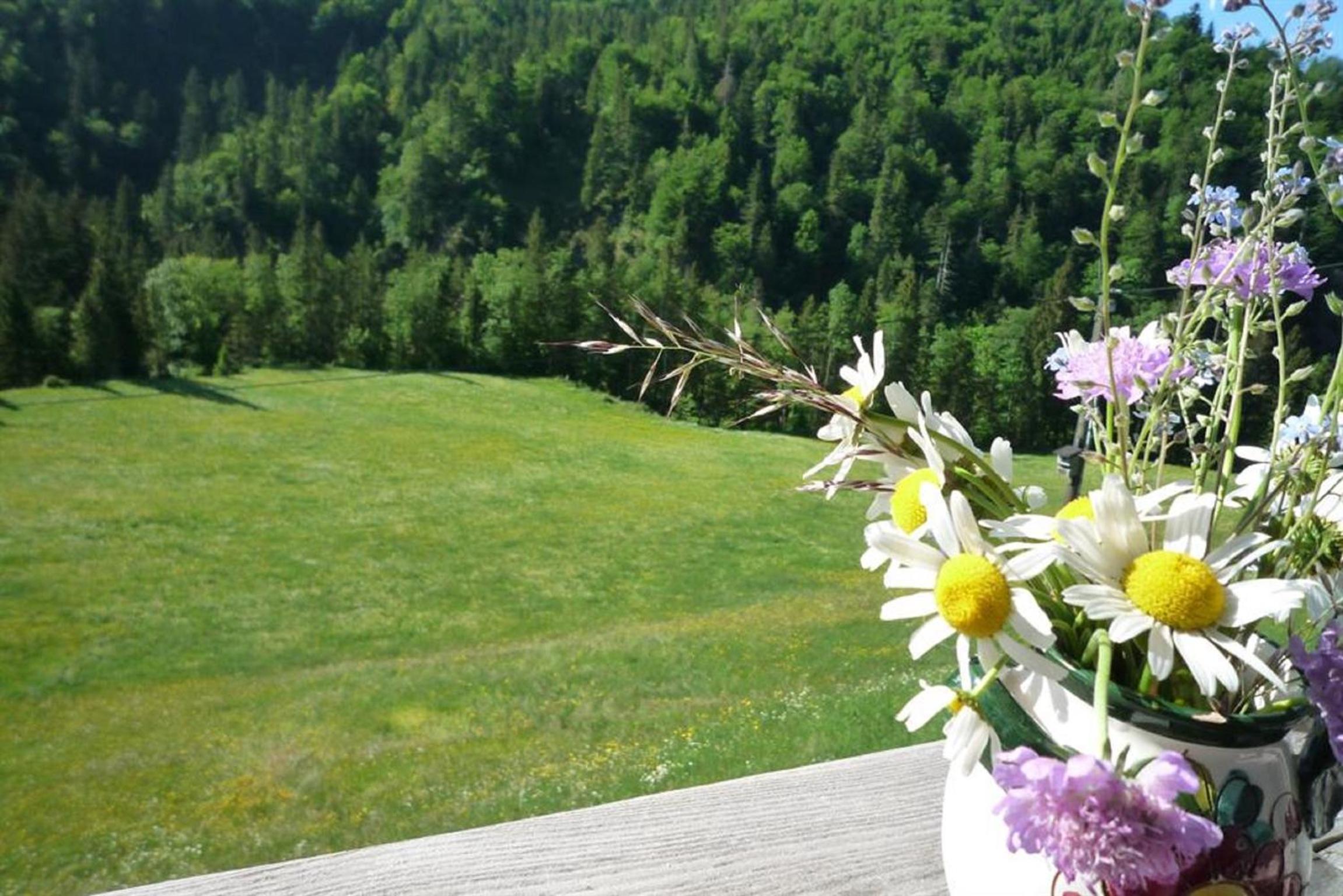 Eckarthof view 3
