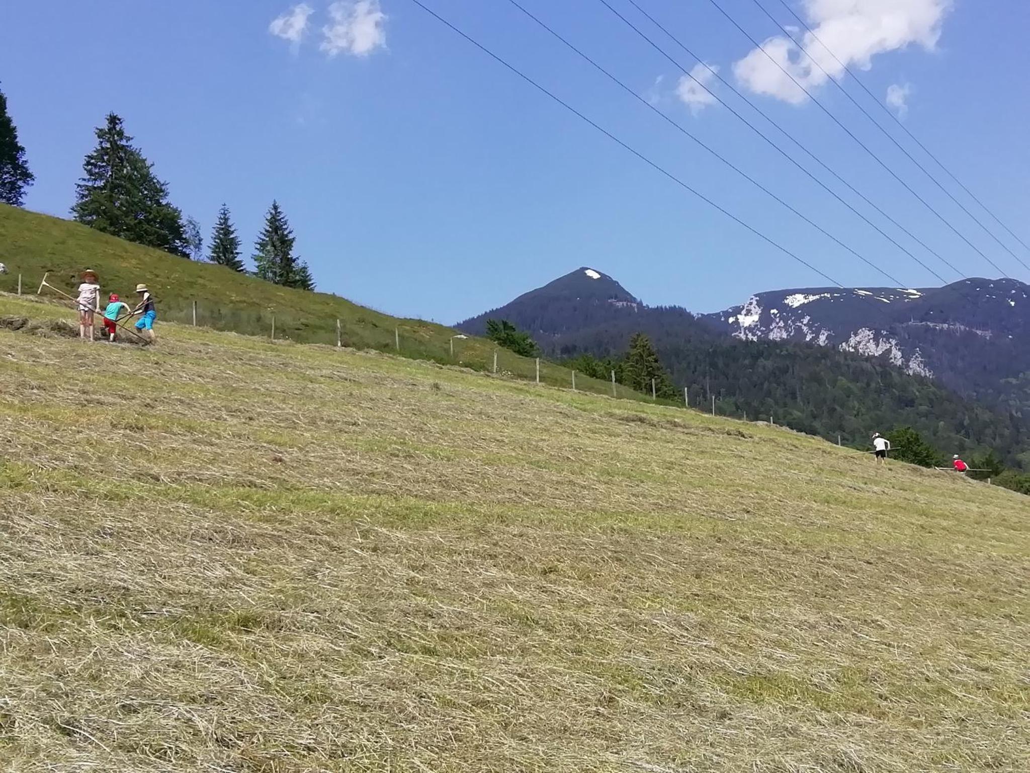 Photo 30