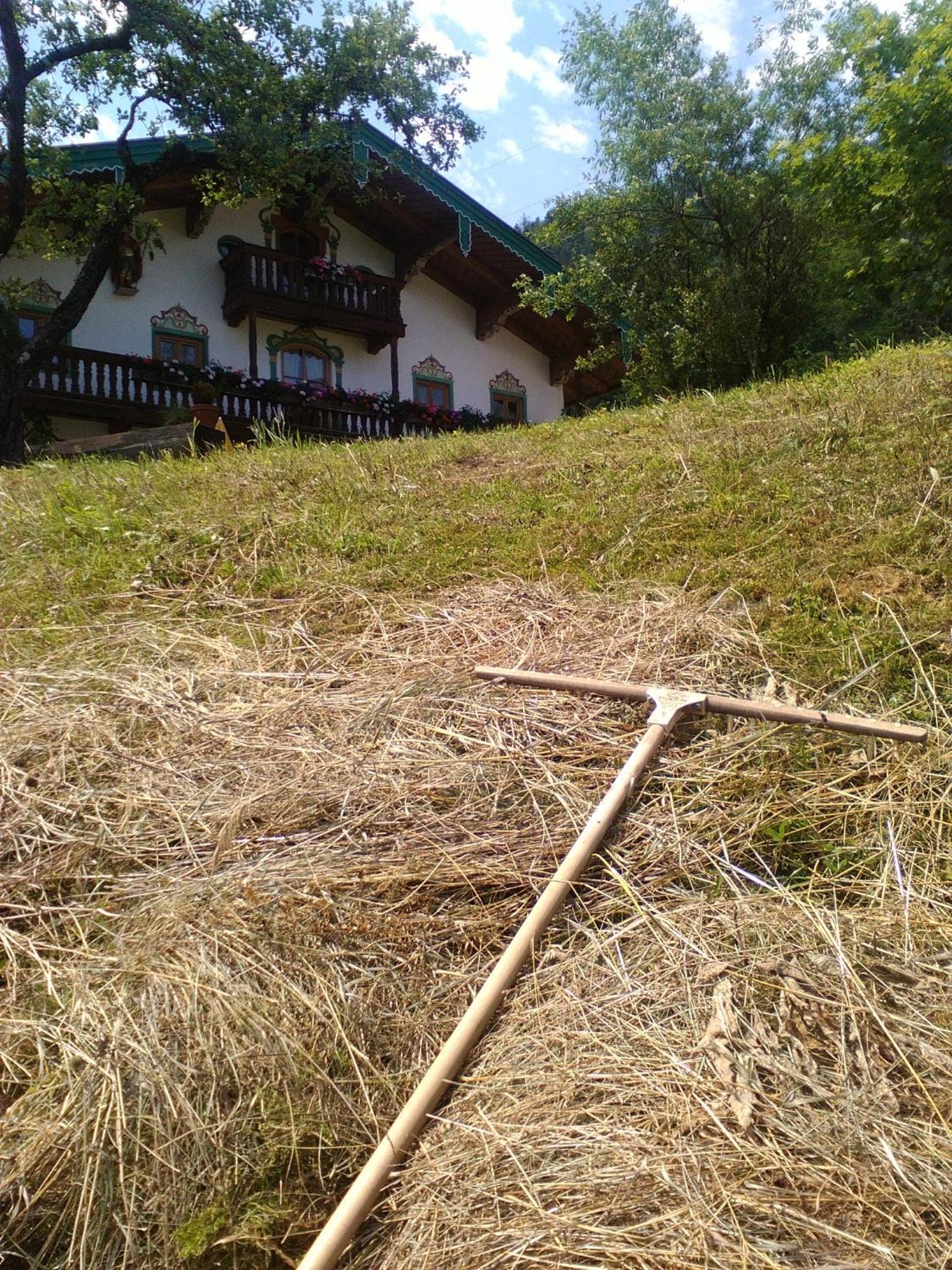 Photo 38