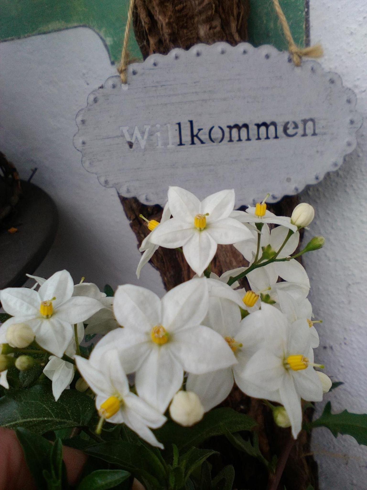 Eckarthof view 2