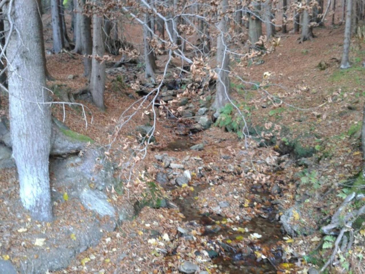 Wellness Pension Iveta