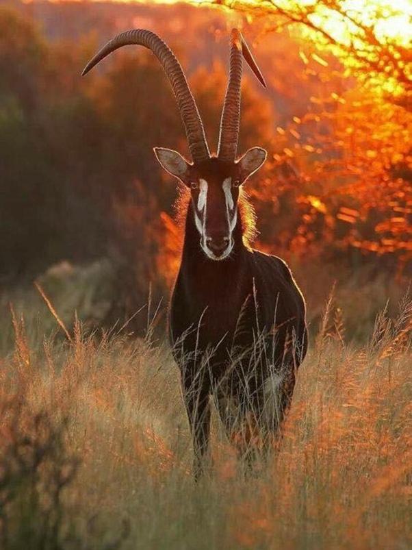 Weltevreden Game Lodge view 5