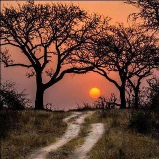 Weltevreden Game Lodge view 4