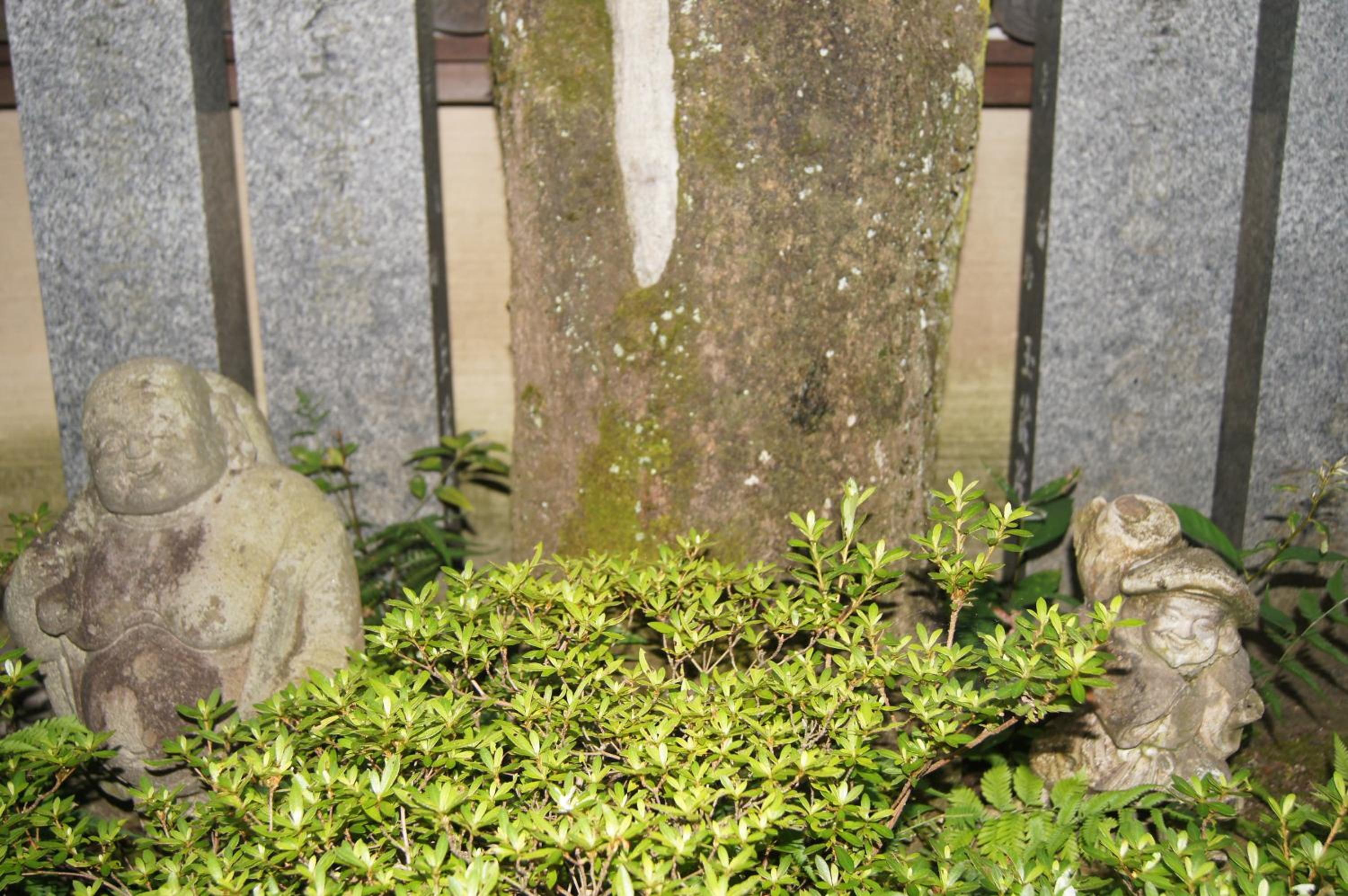 Gyokuzoin
