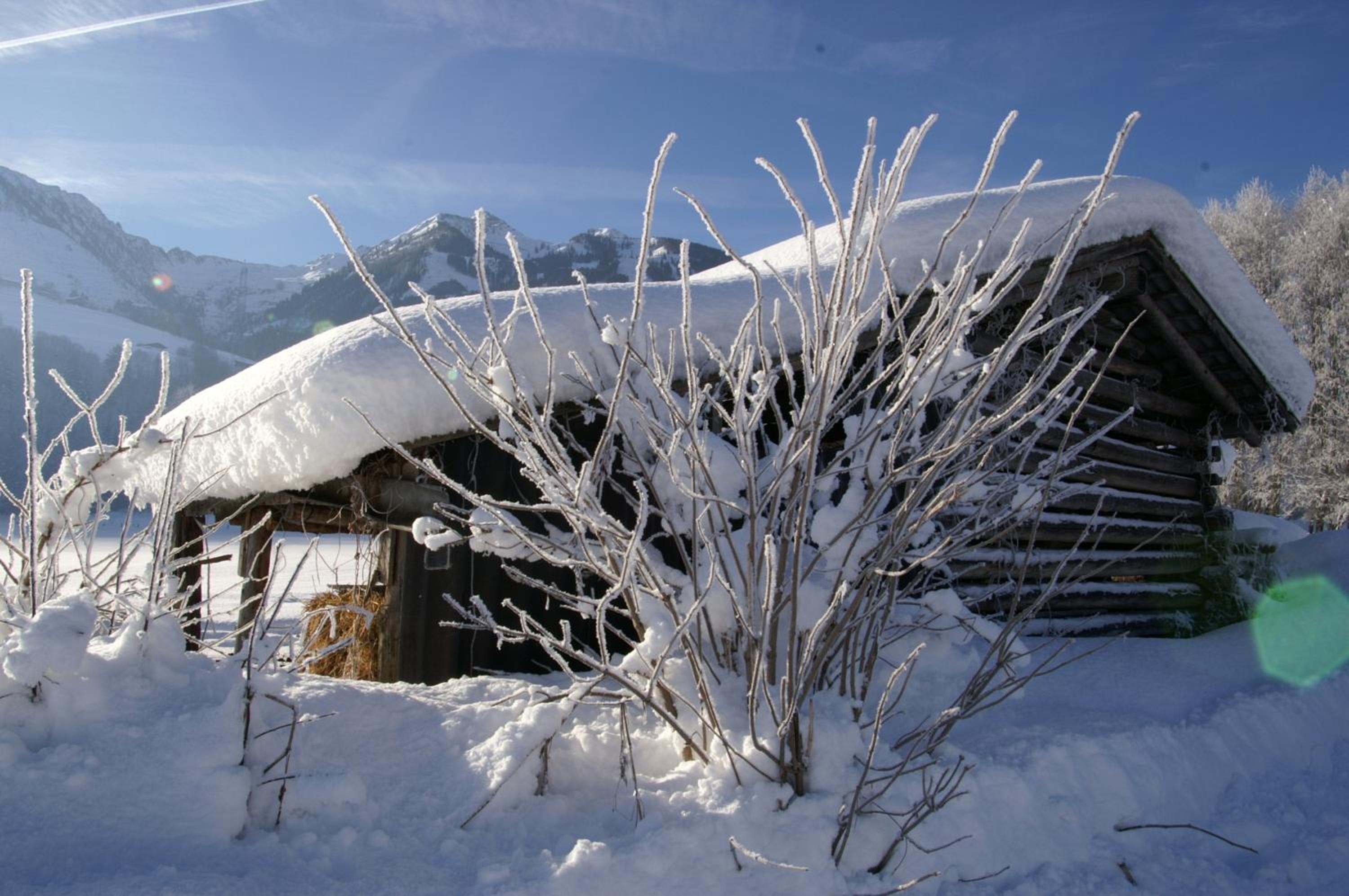 Photo 40
