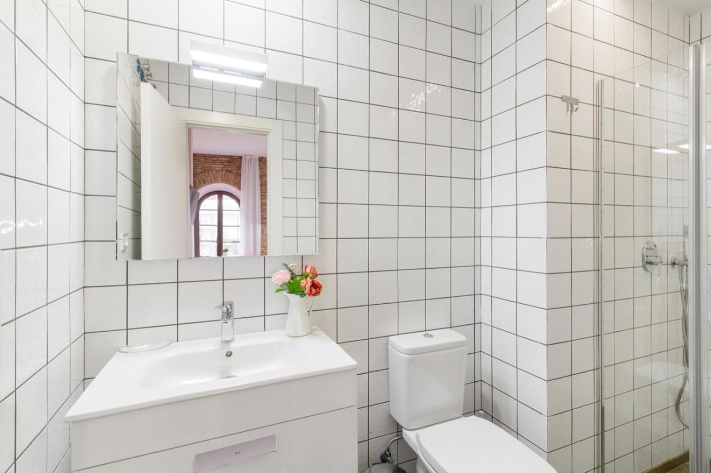Apartamentos Casapalma Centro Histórico