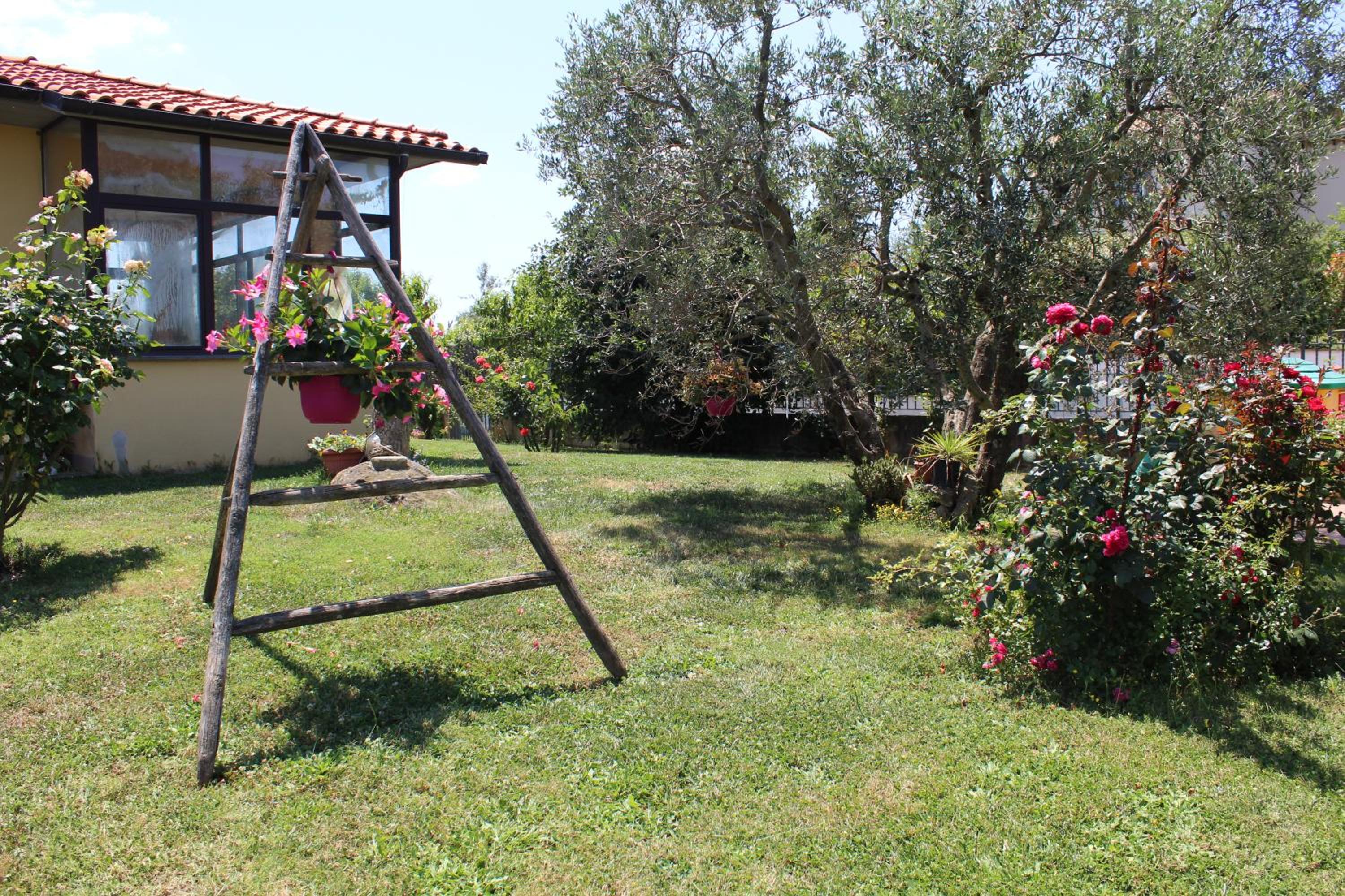 B&B L'amicizia view 4