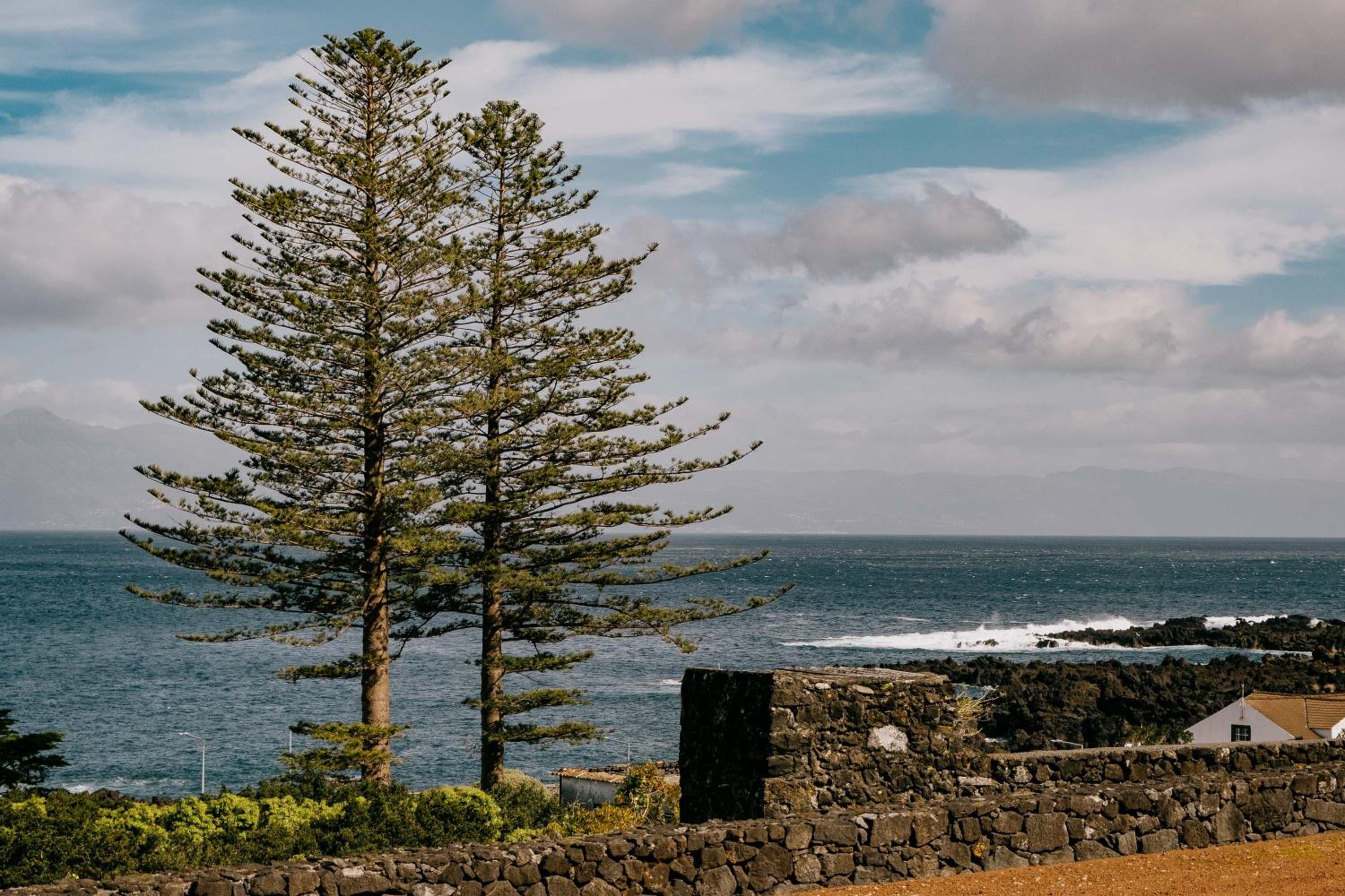 Azores Youth Hostels - Pico