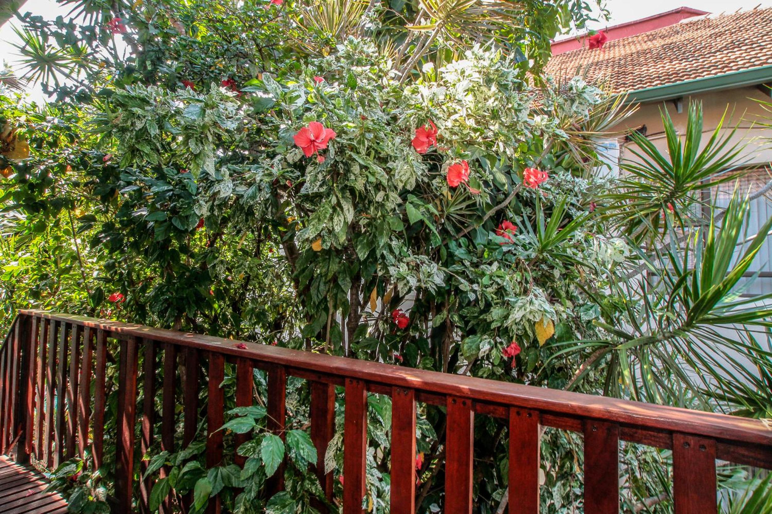 Beechwood B&B