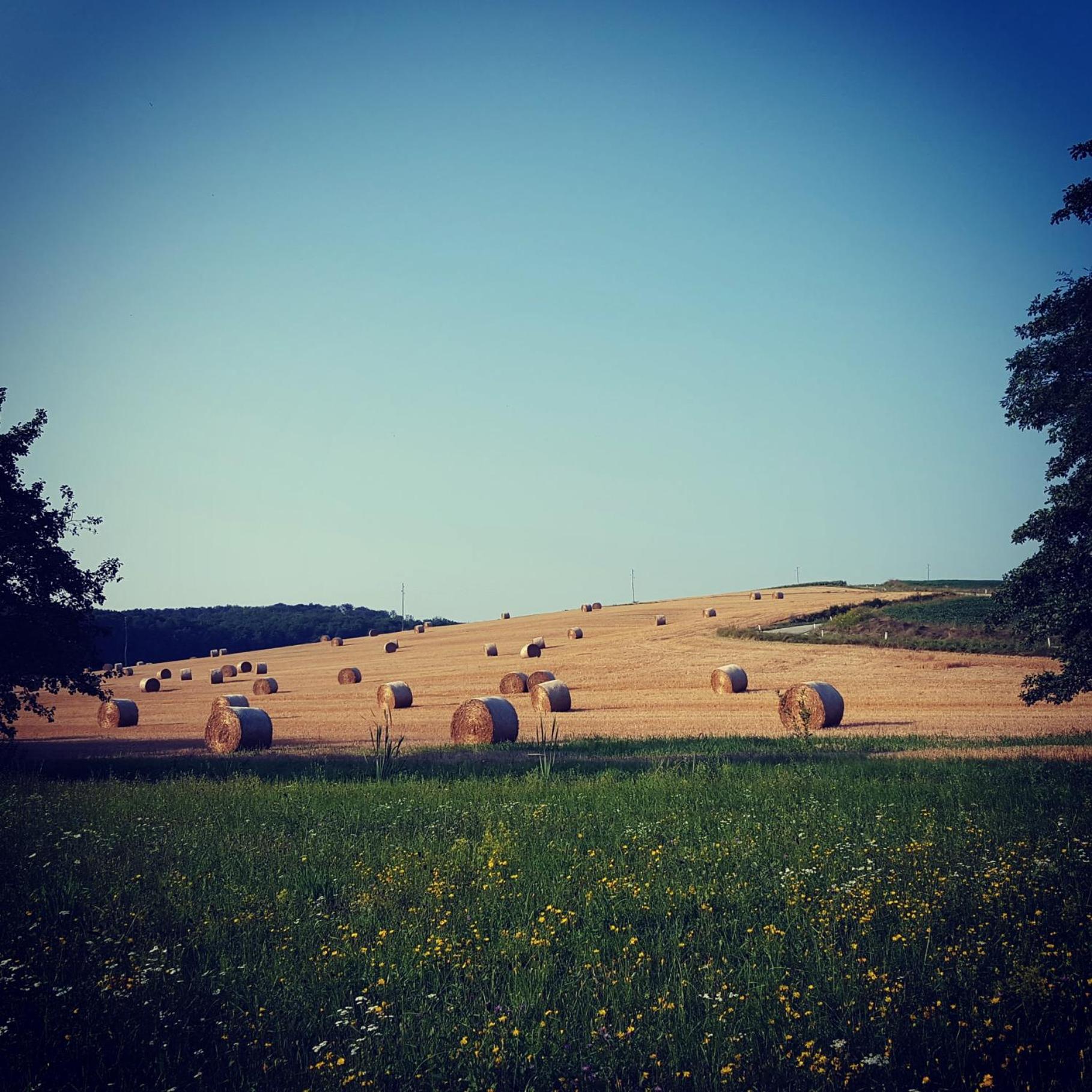 Glamping NA BREJGI