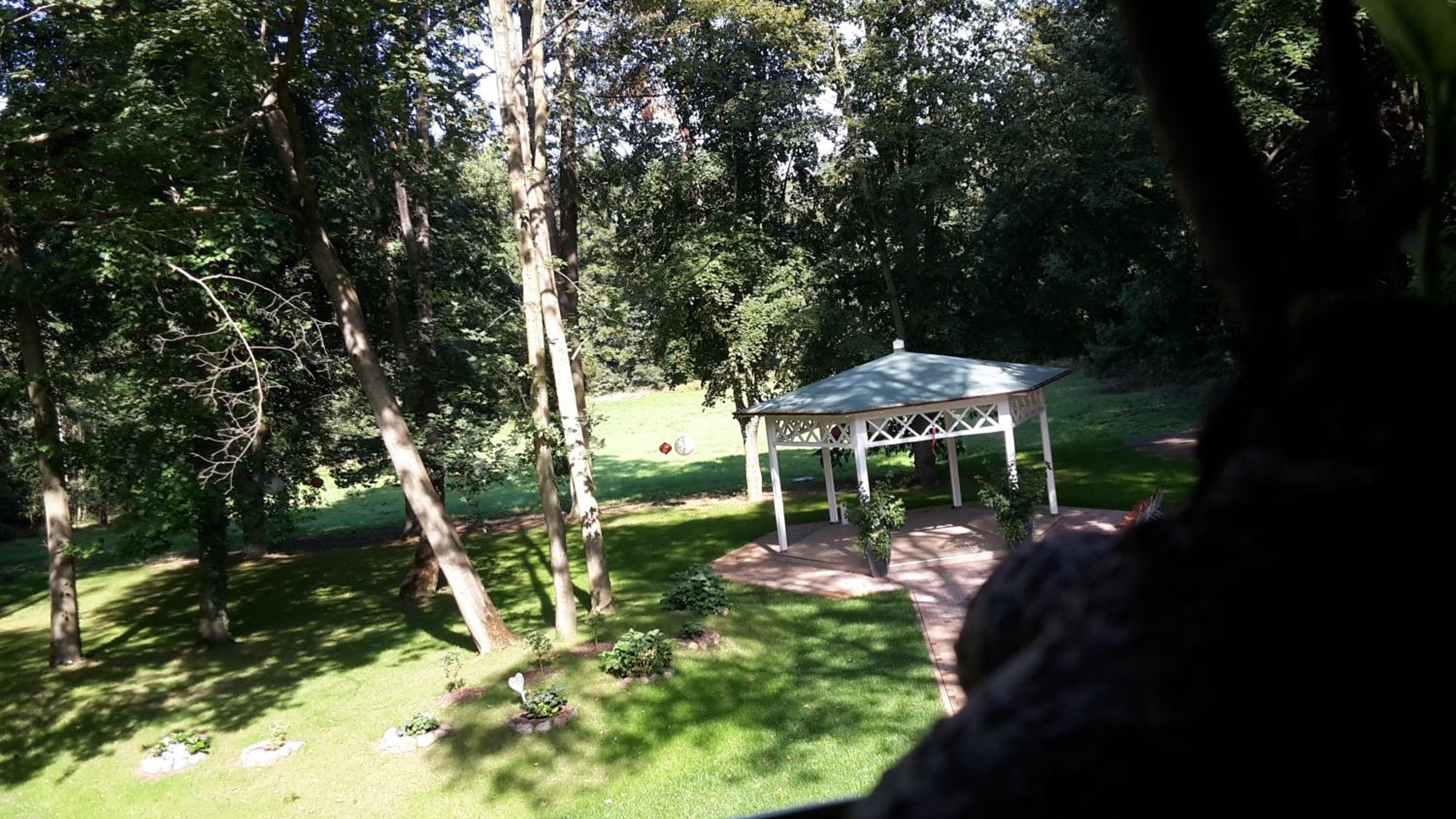 Hotel Zur Waldhufe - Property Image 12