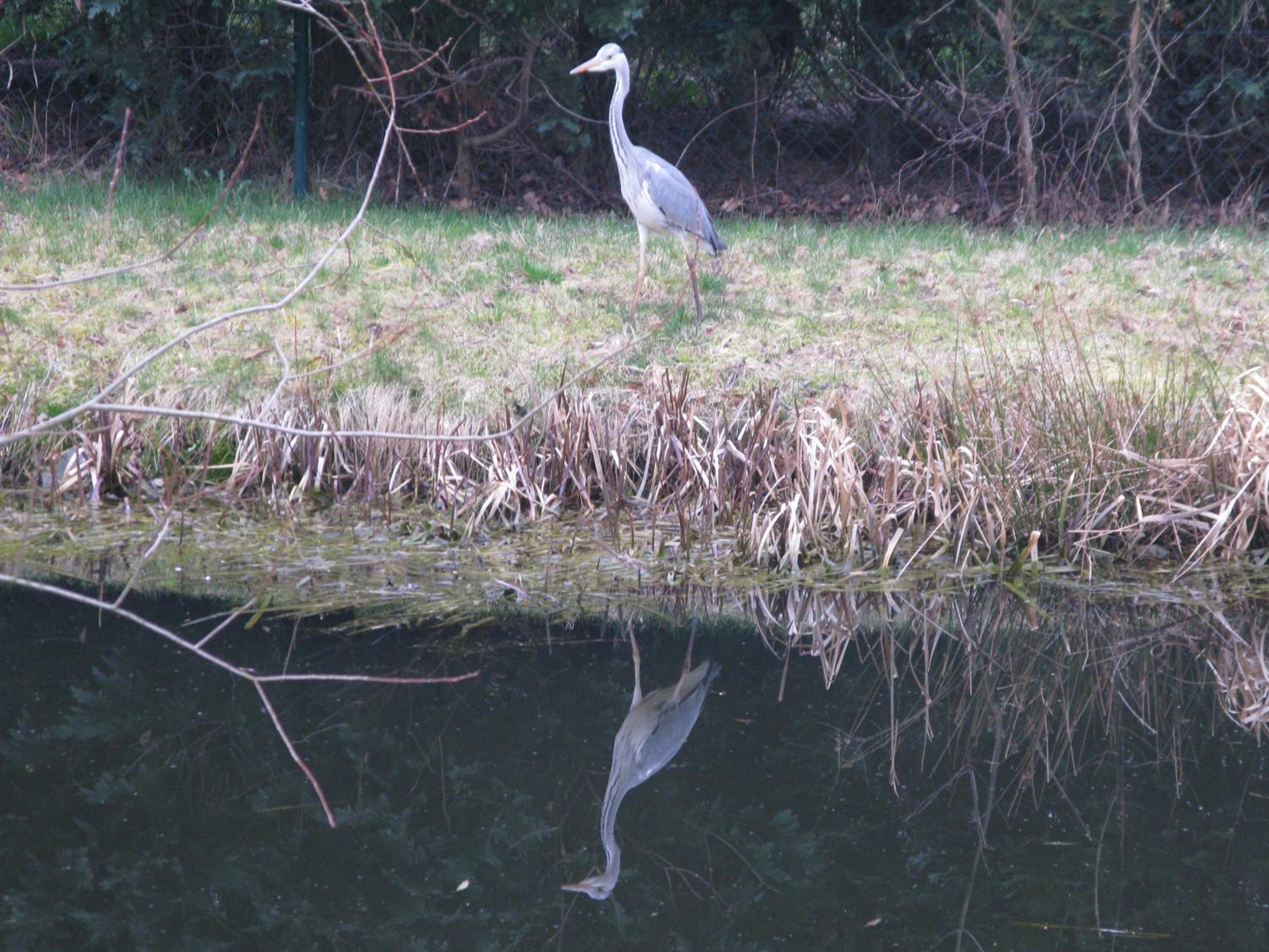 Appartement am Teich