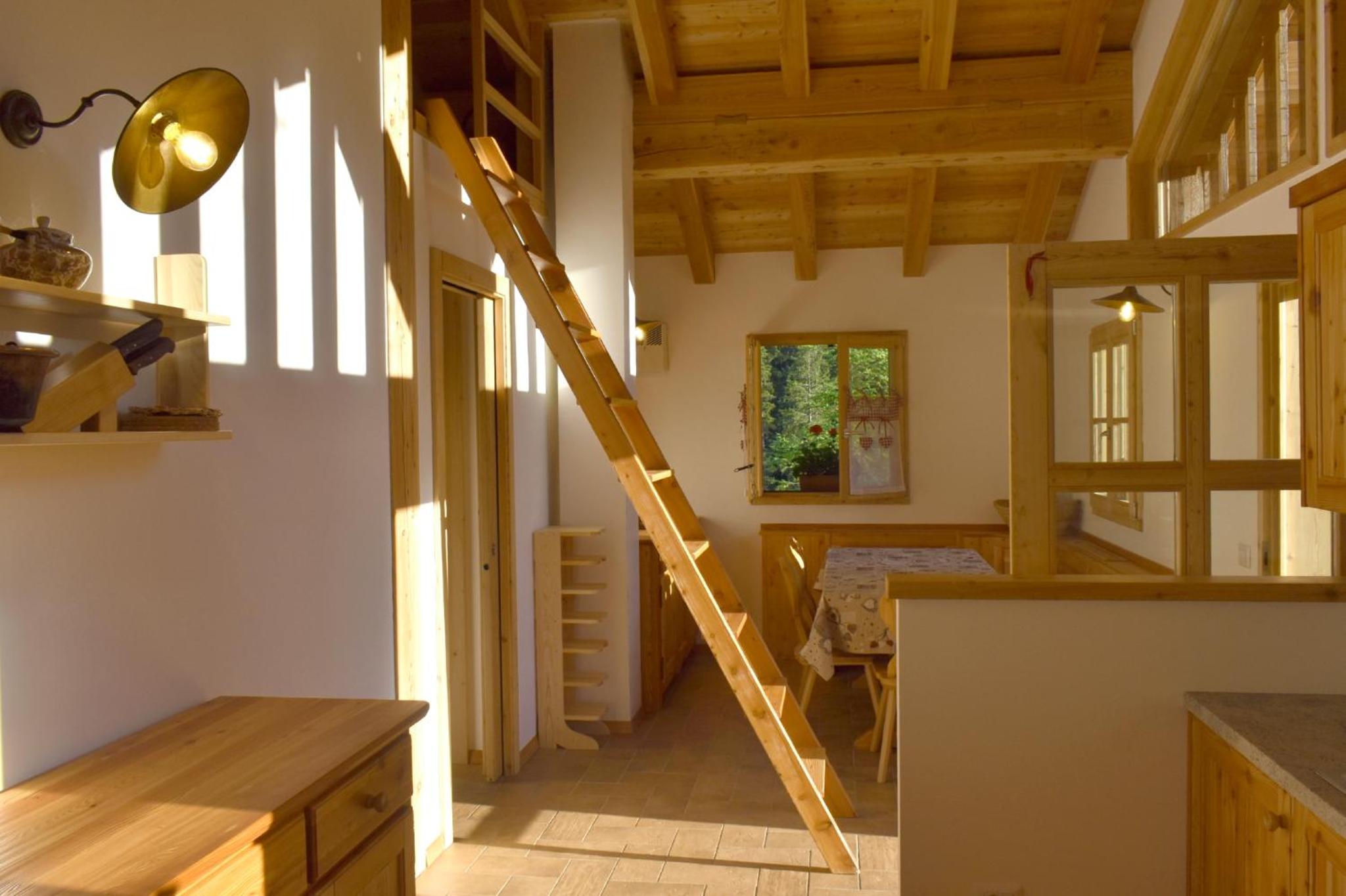 Chalet Brenta Dolomites view 4