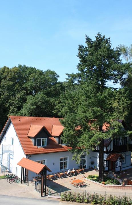 Hotel Zur Waldhufe - Property Image 8