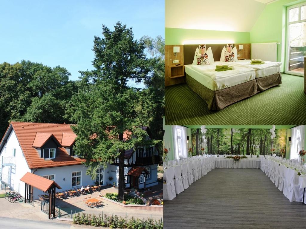 Hotel Zur Waldhufe - Property Image 38