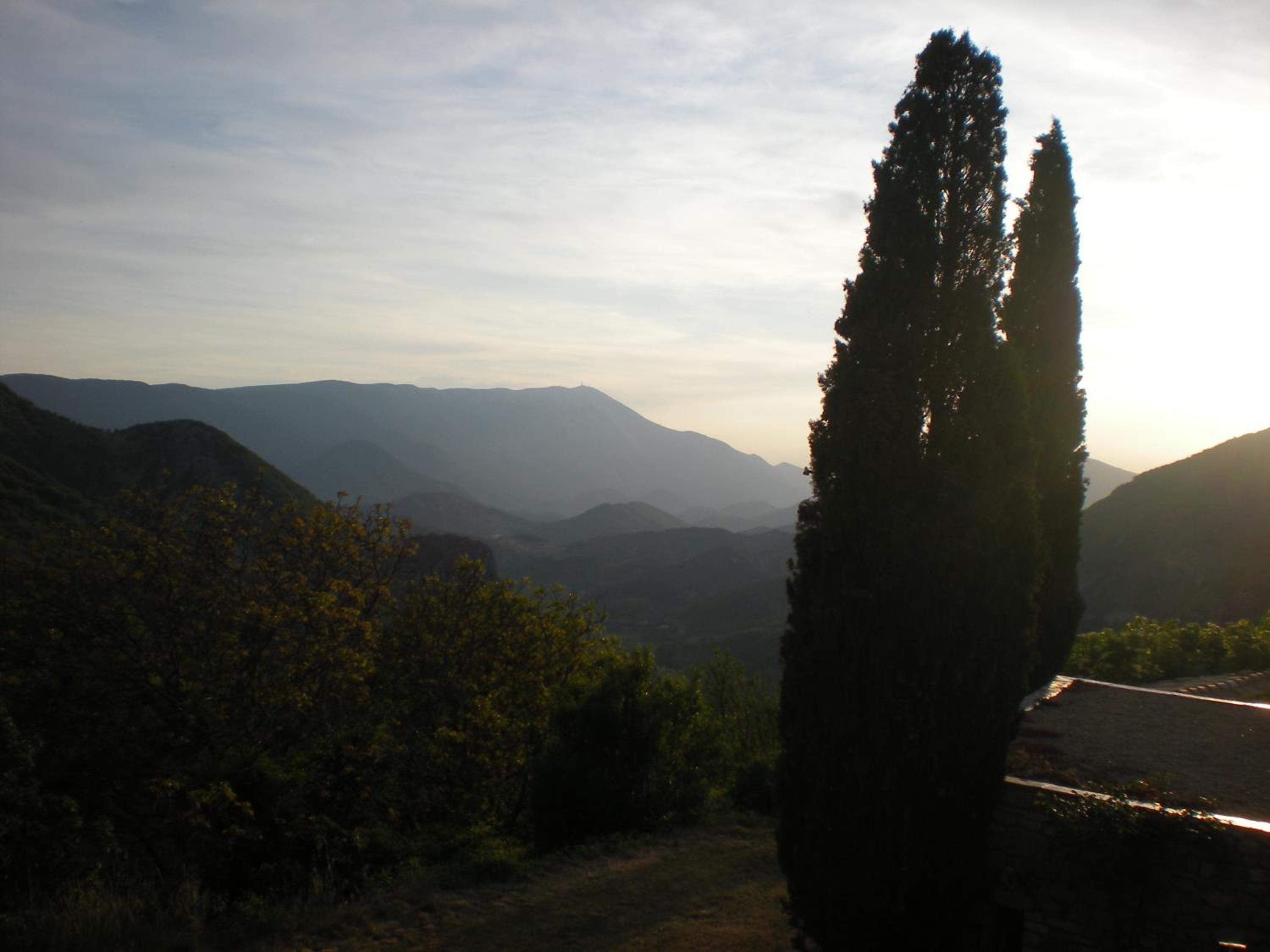 Photo 31
