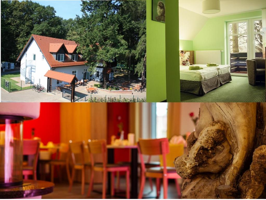 Hotel Zur Waldhufe - Property Image 30