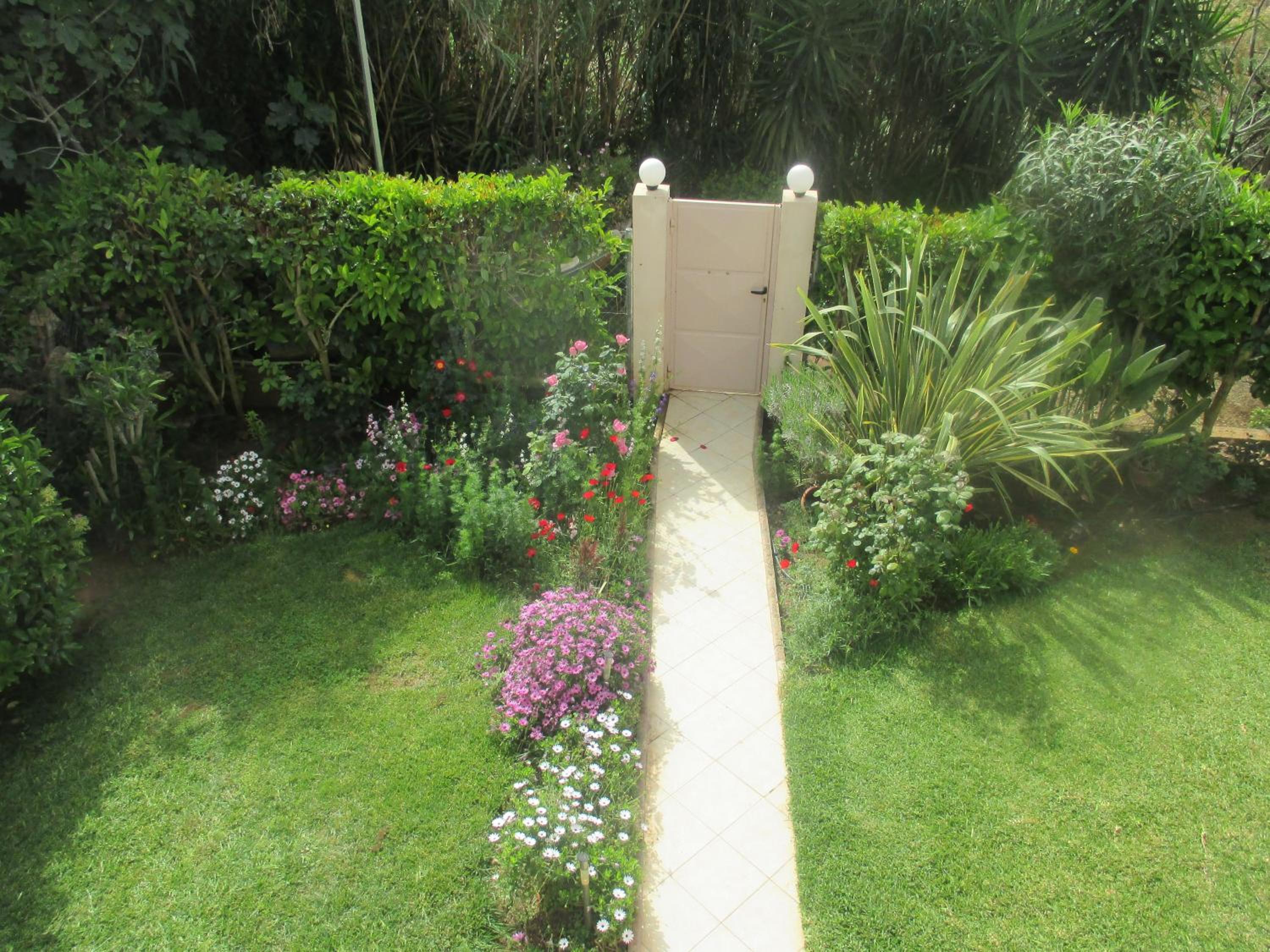 Photo 32
