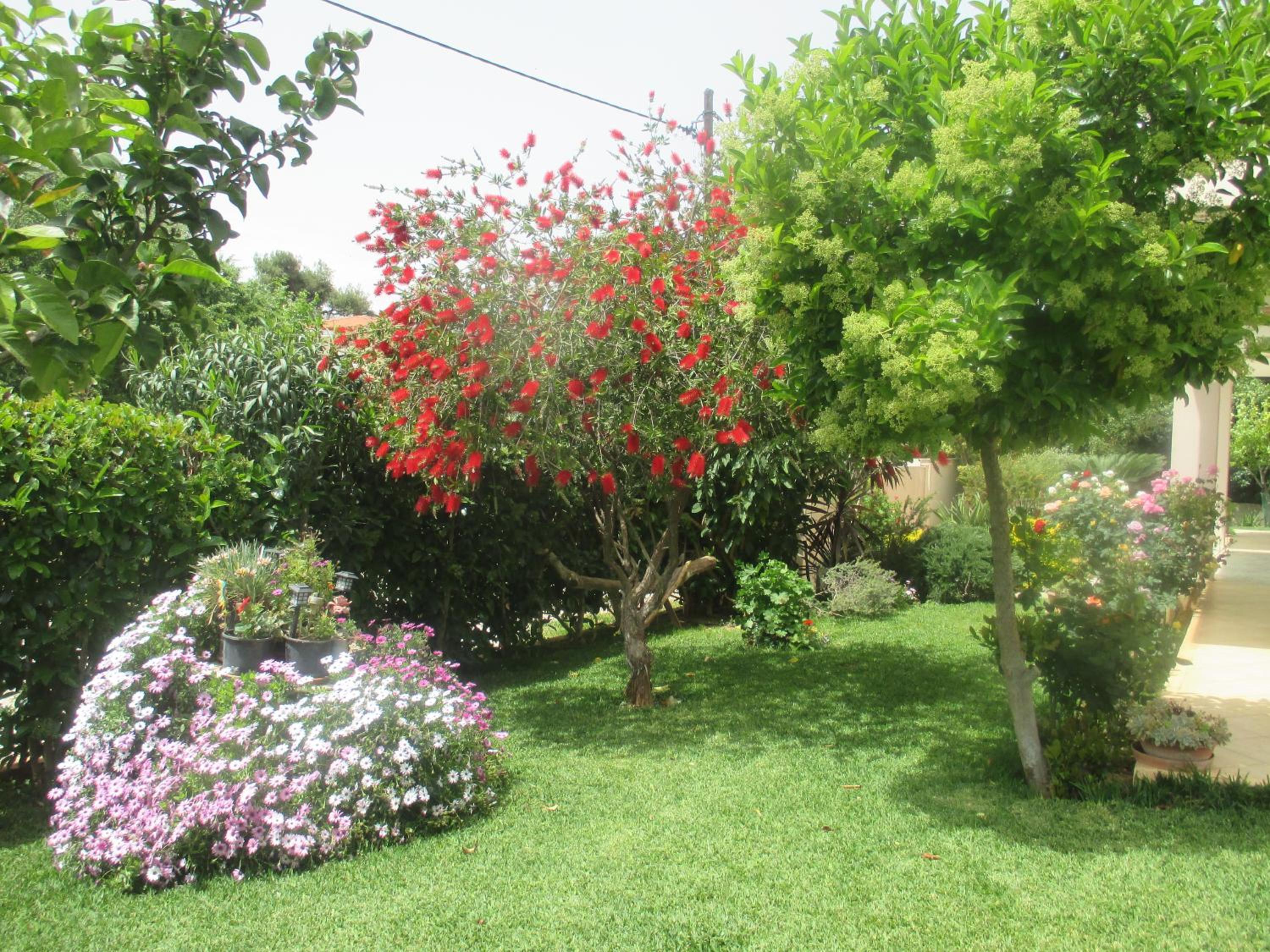 Photo 34