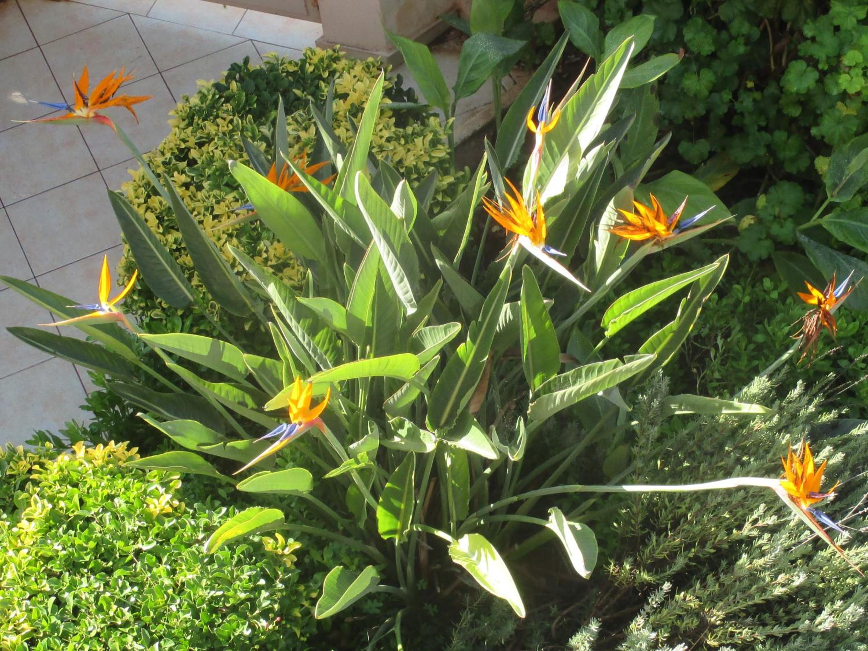 Photo 36