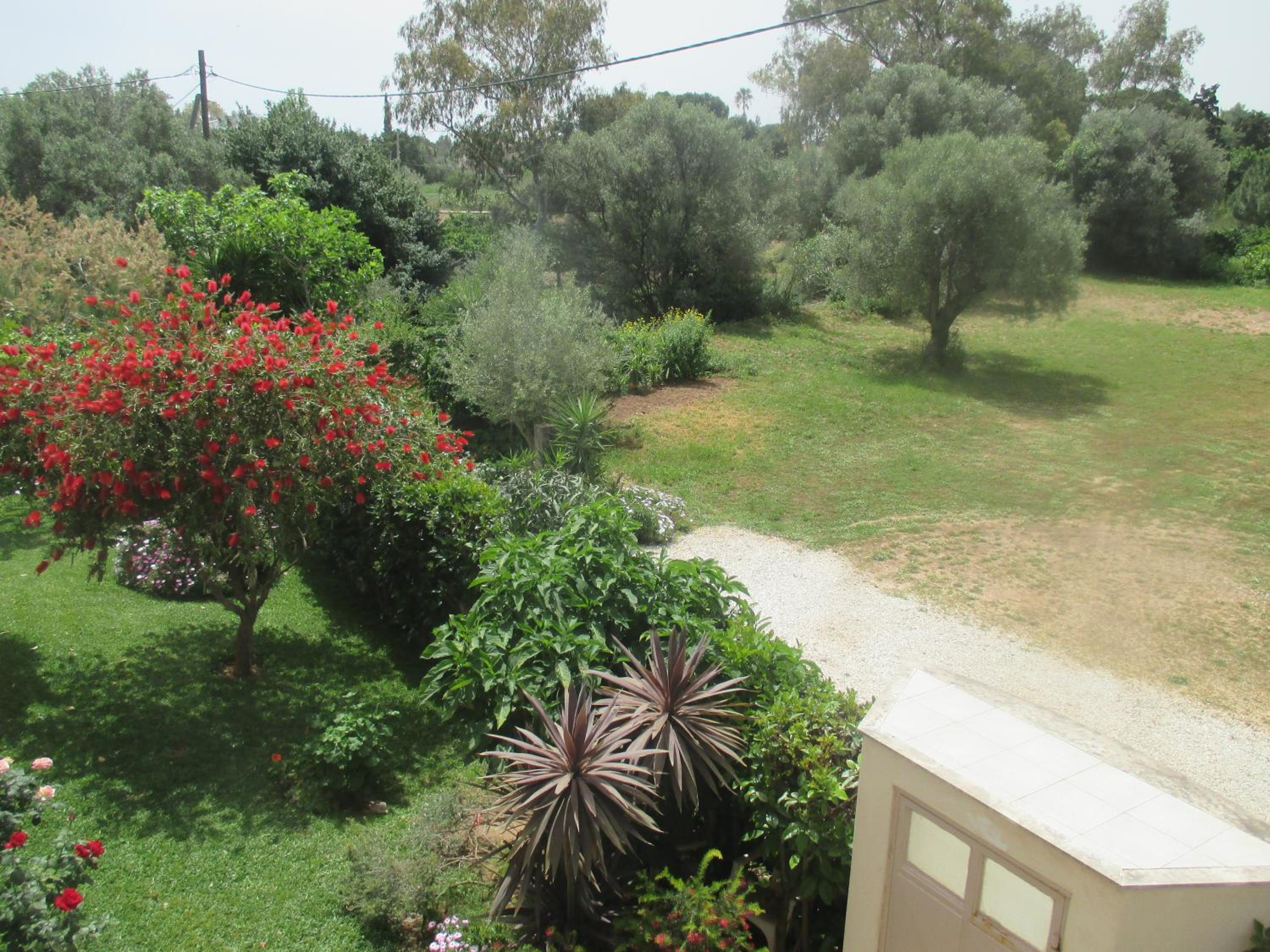 Photo 38