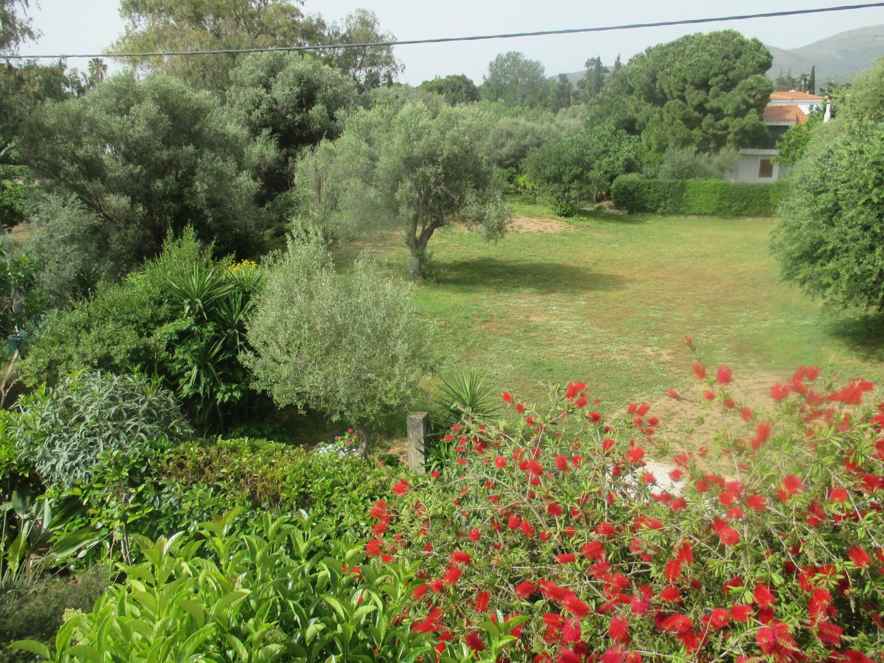 Photo 39