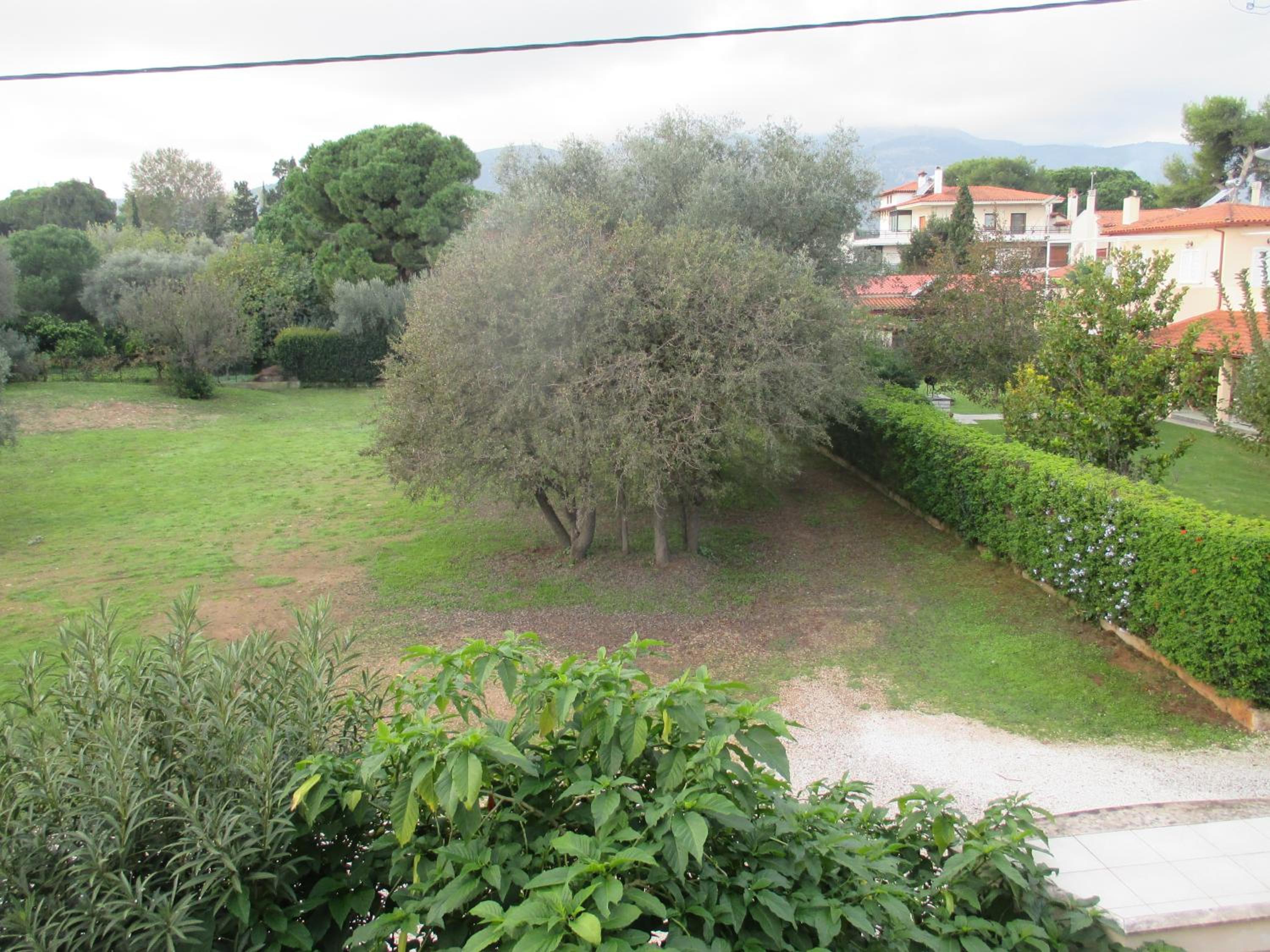 Photo 40