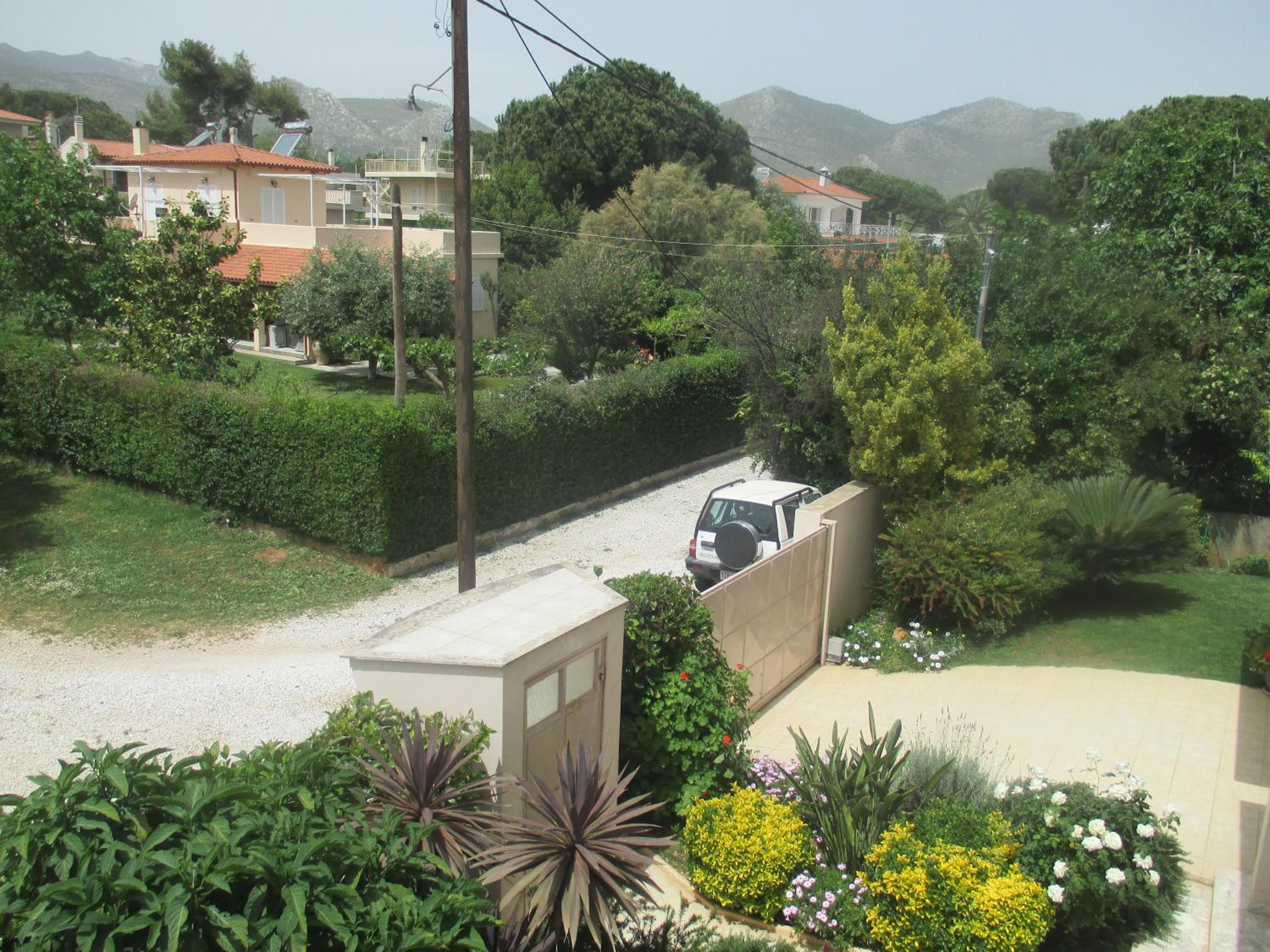 Photo 41