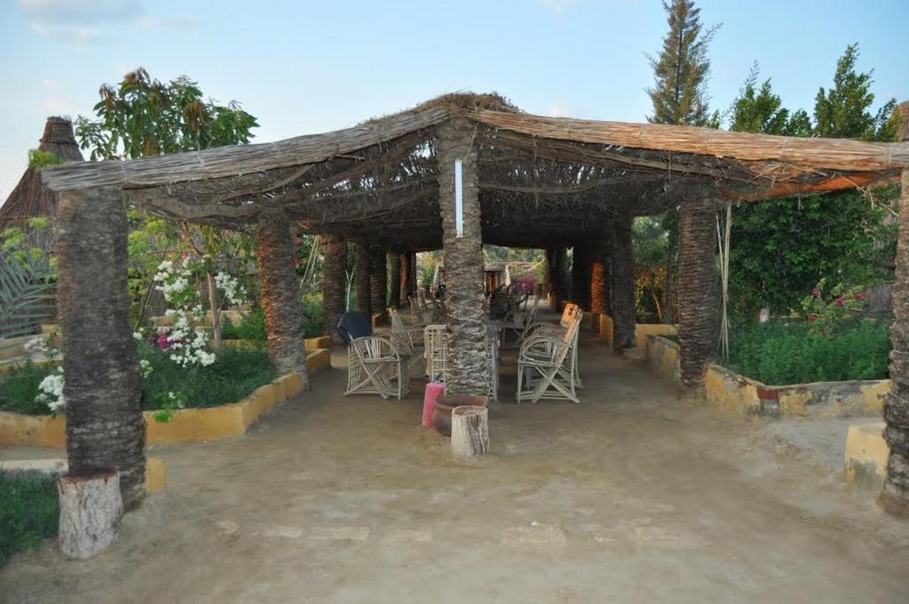 Badry Sahara Camp view 3