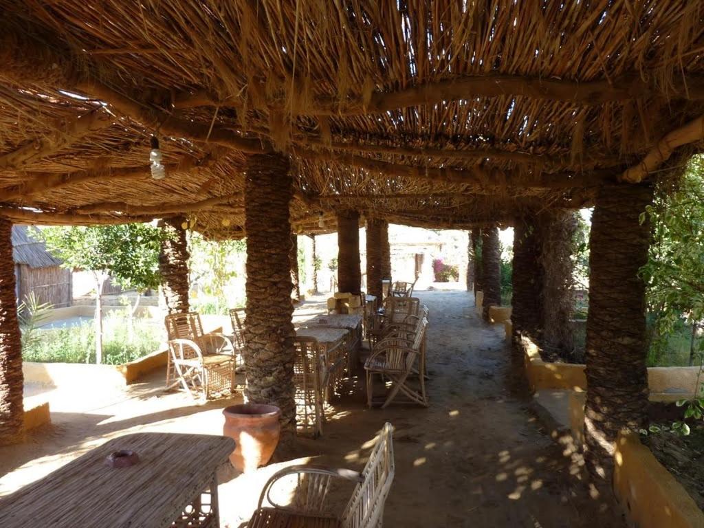 Badry Sahara Camp view 2