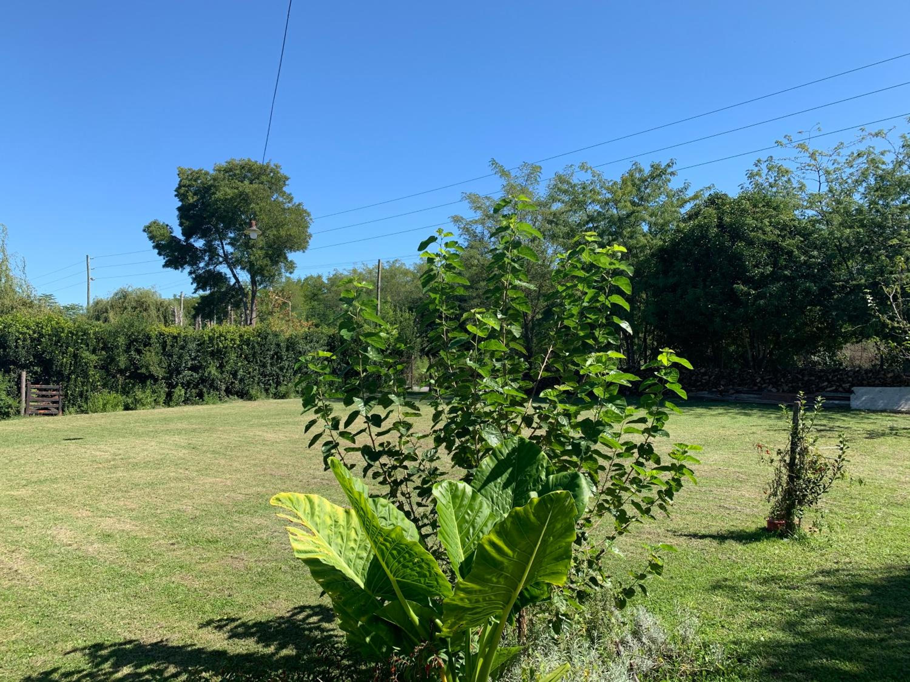 Altos de Empalme - Guest House