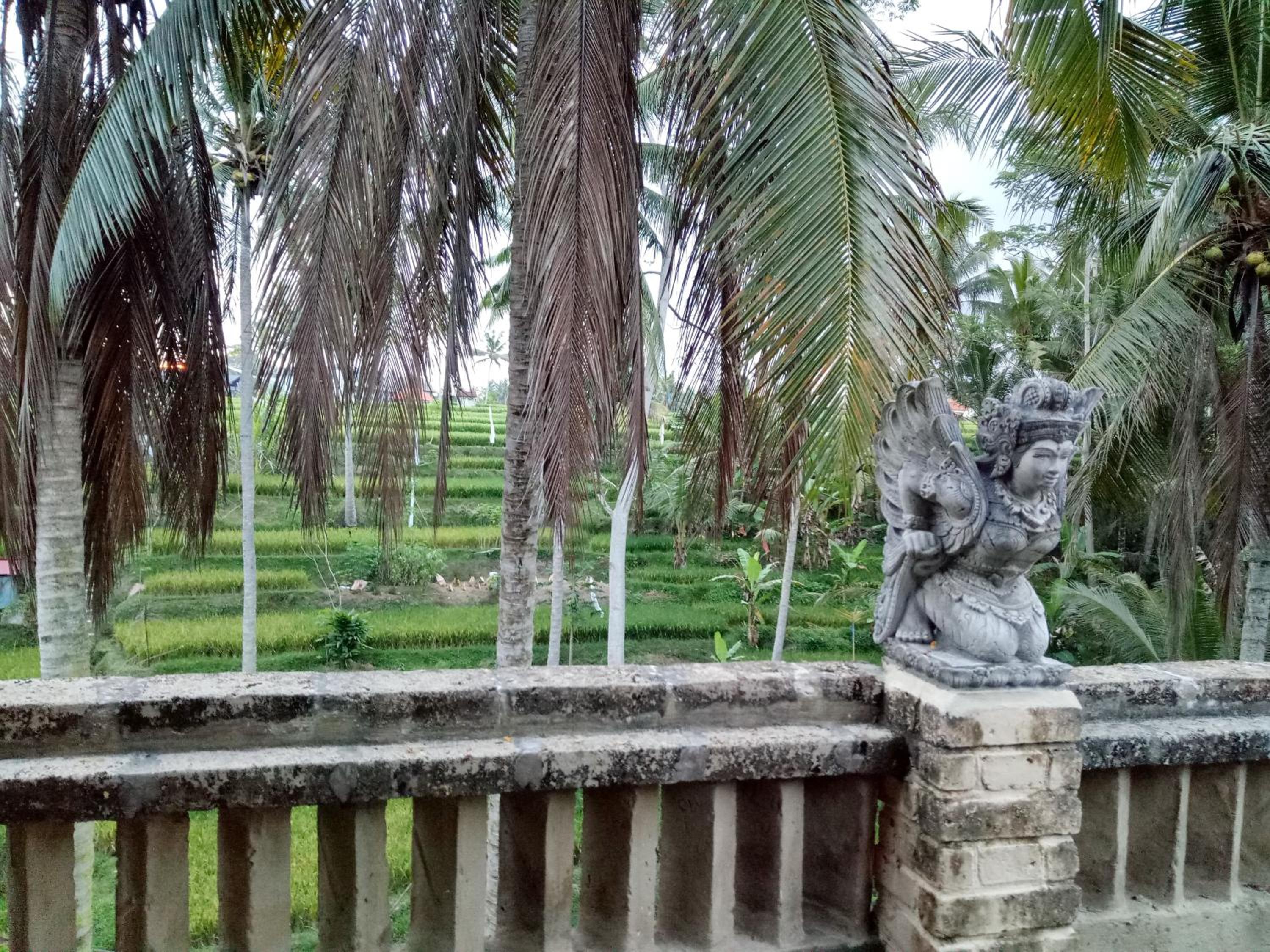 Junjungan Suite