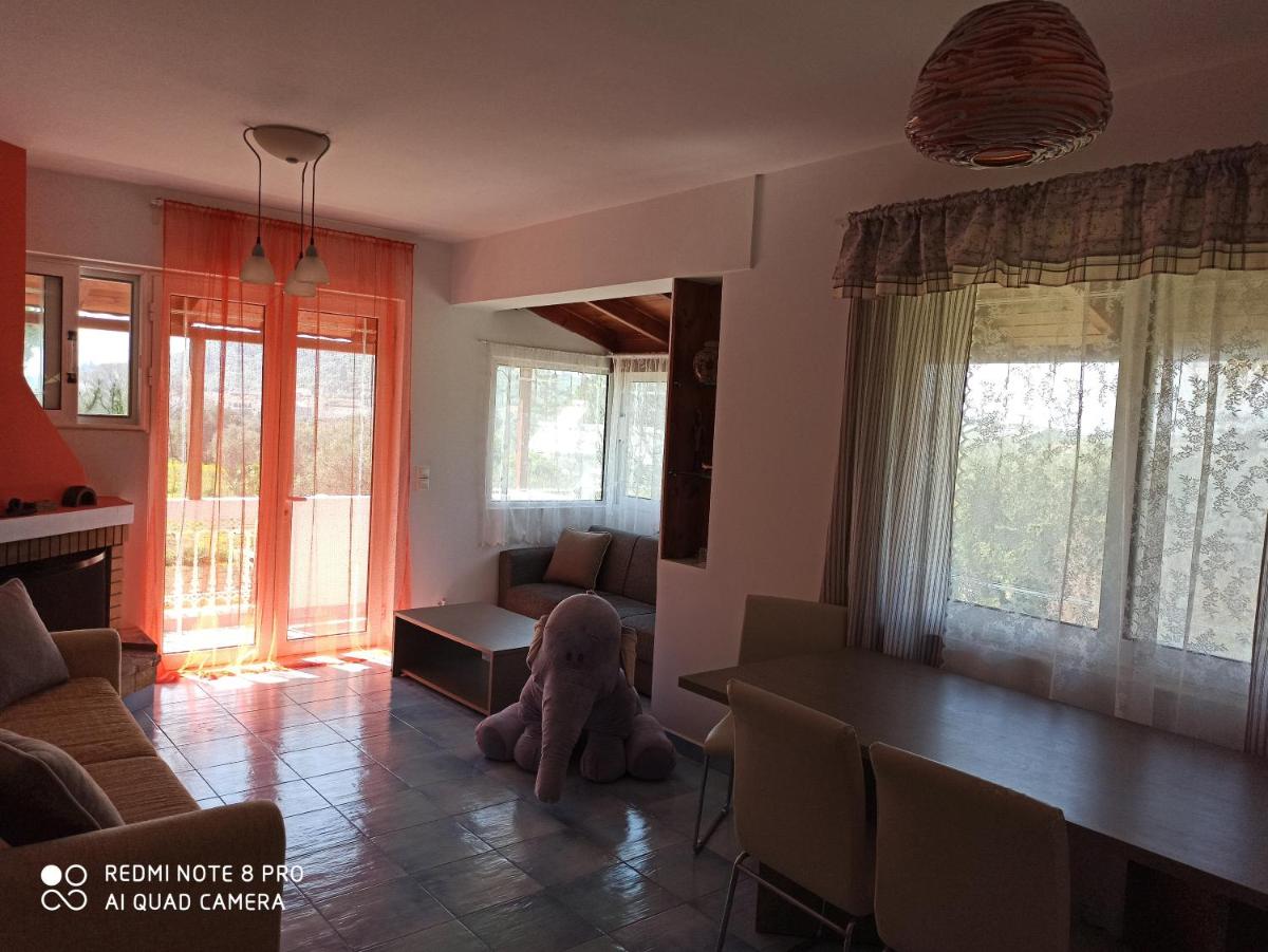 Photo 24