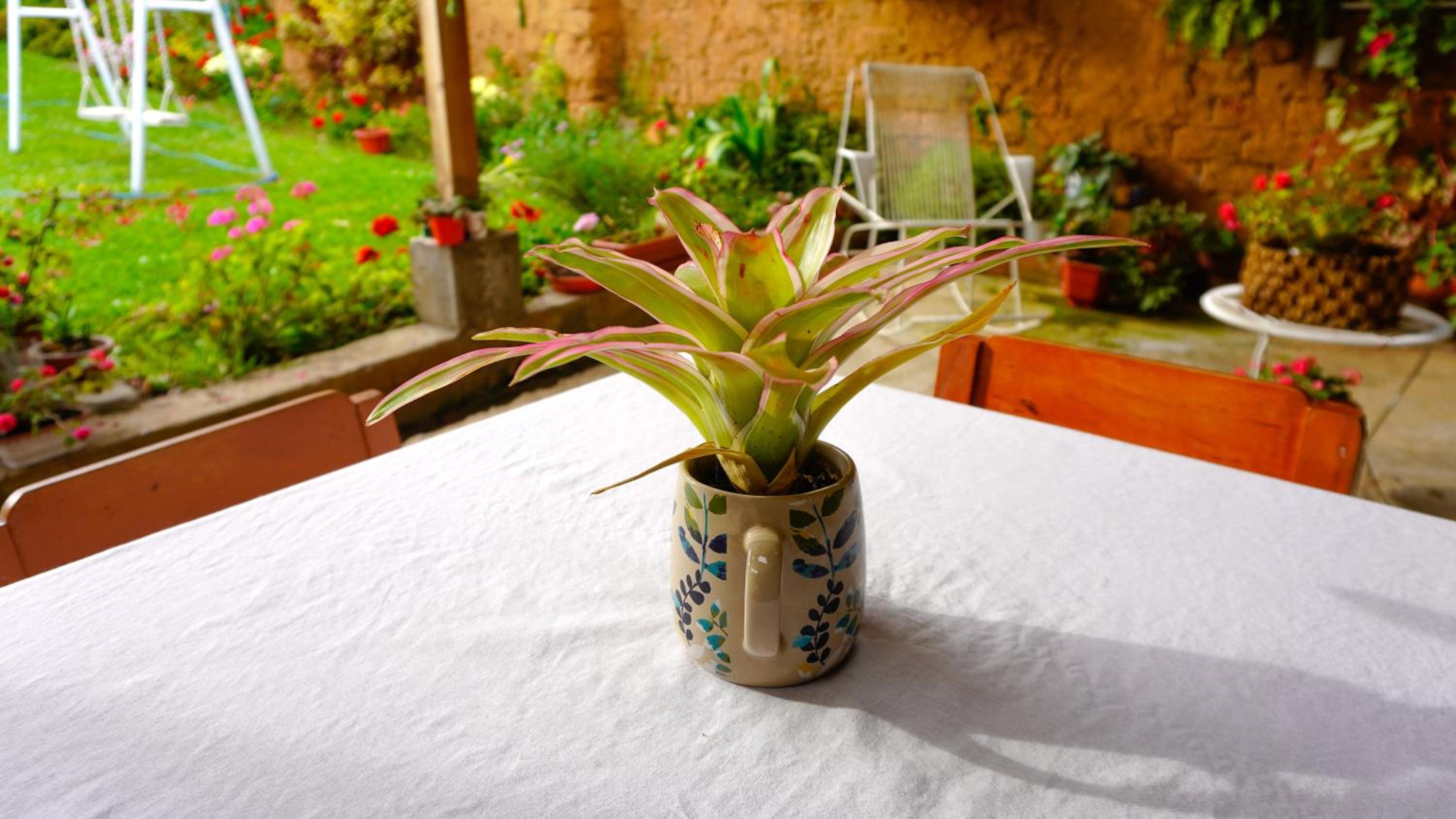 Casa Kuelap Hostal
