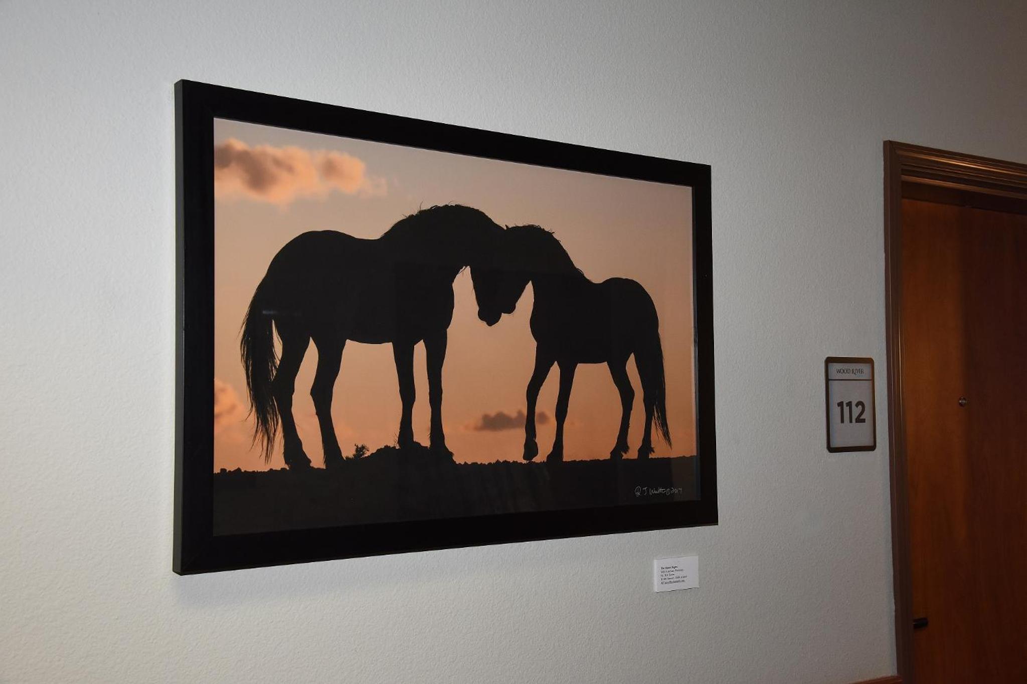 Wood River Inn  Suite - Property Image 44