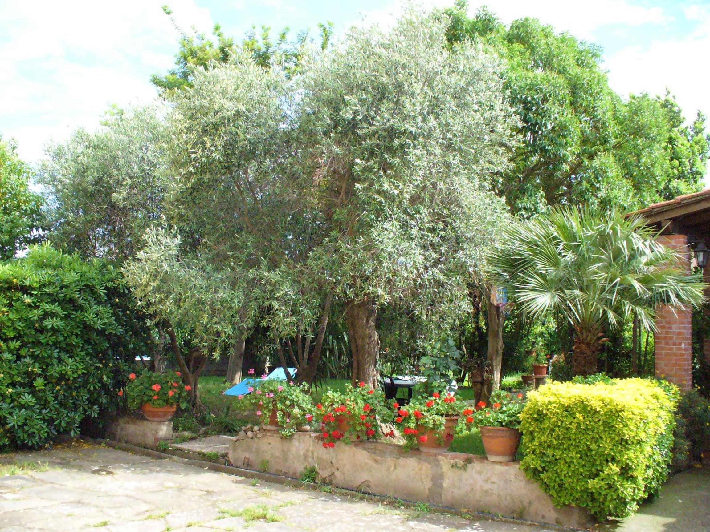 La Convenienza