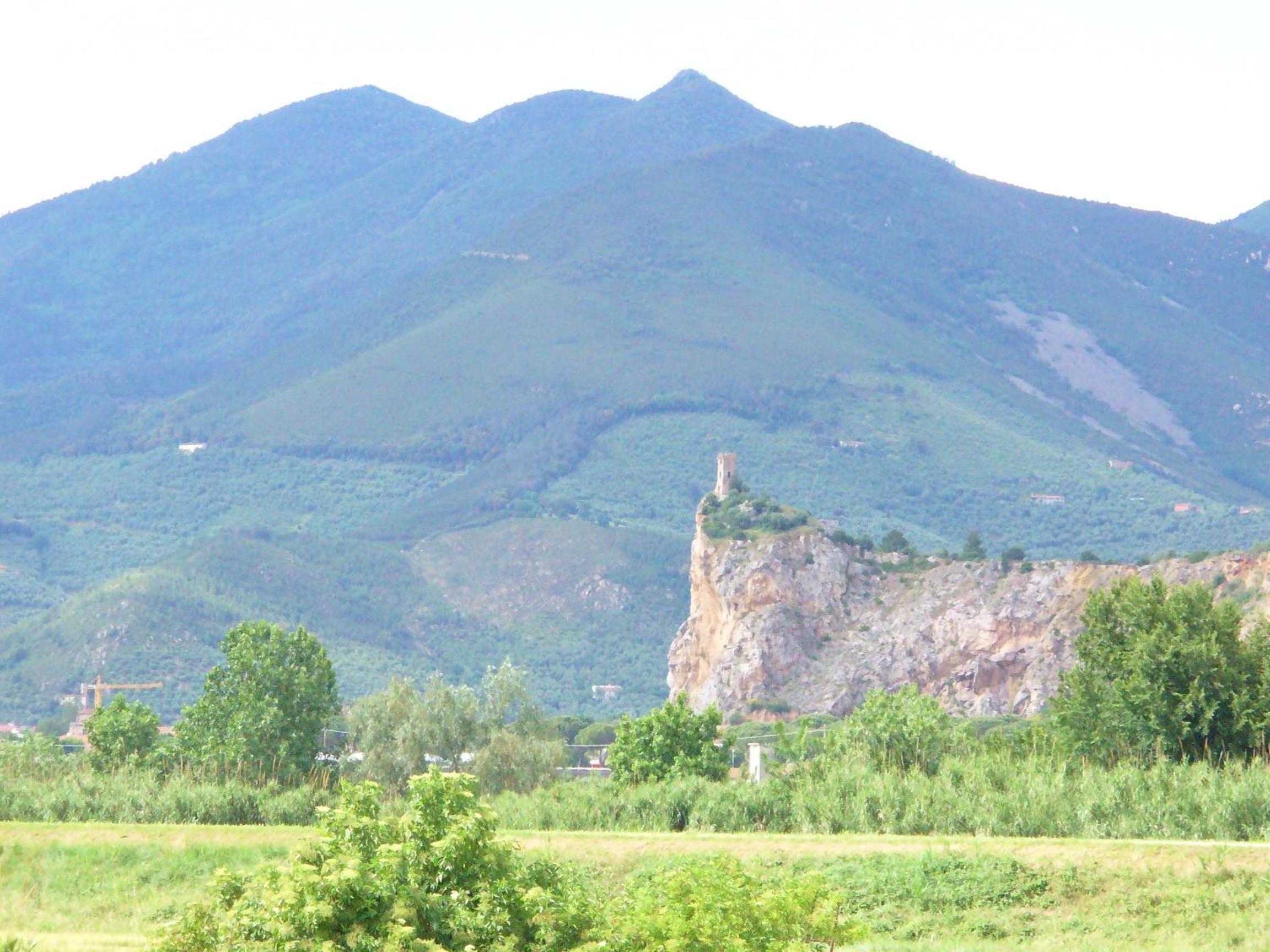 La Convenienza