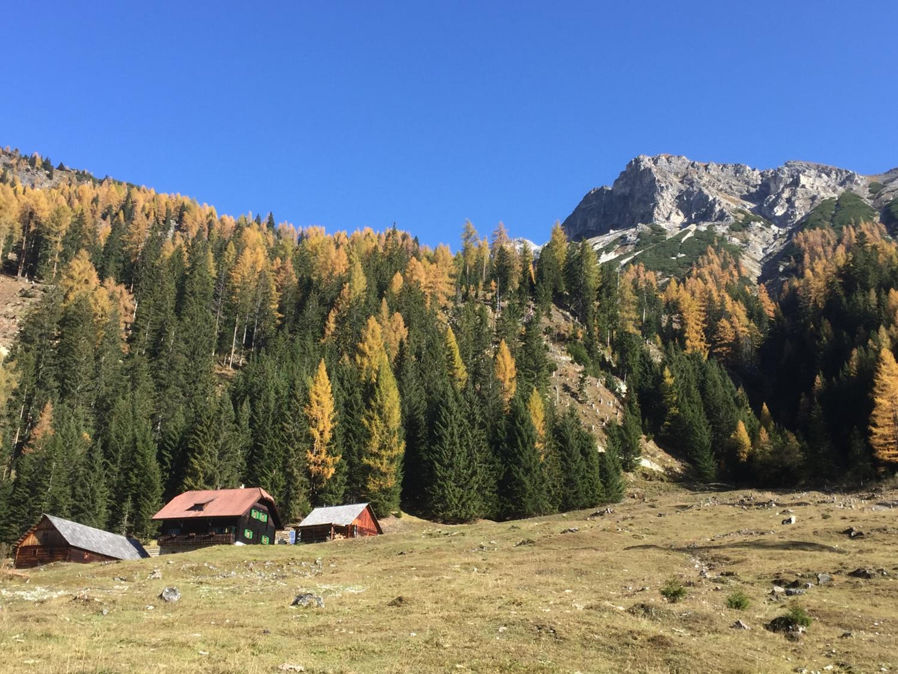 Pernerhof