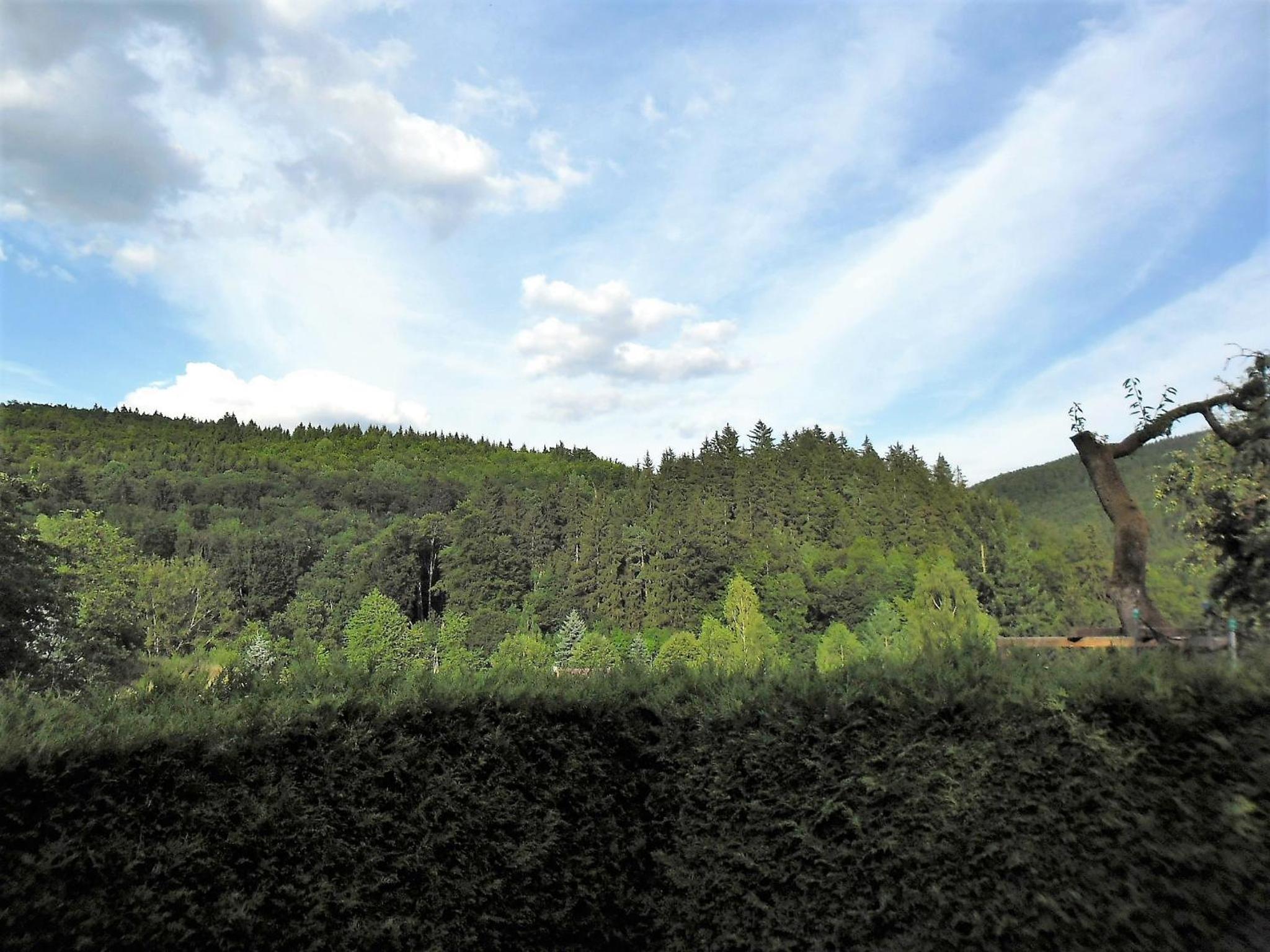 Kleines Haus am Wald