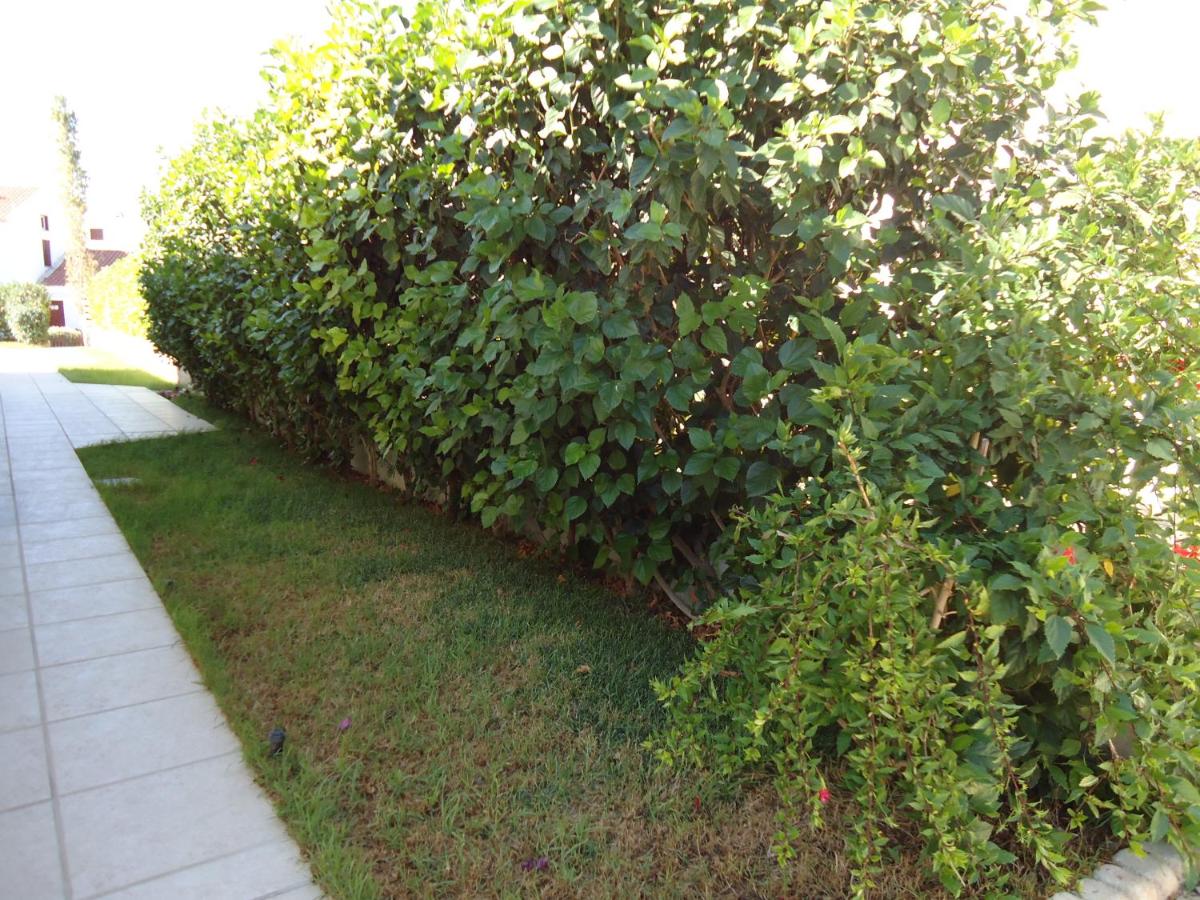 Photo 27