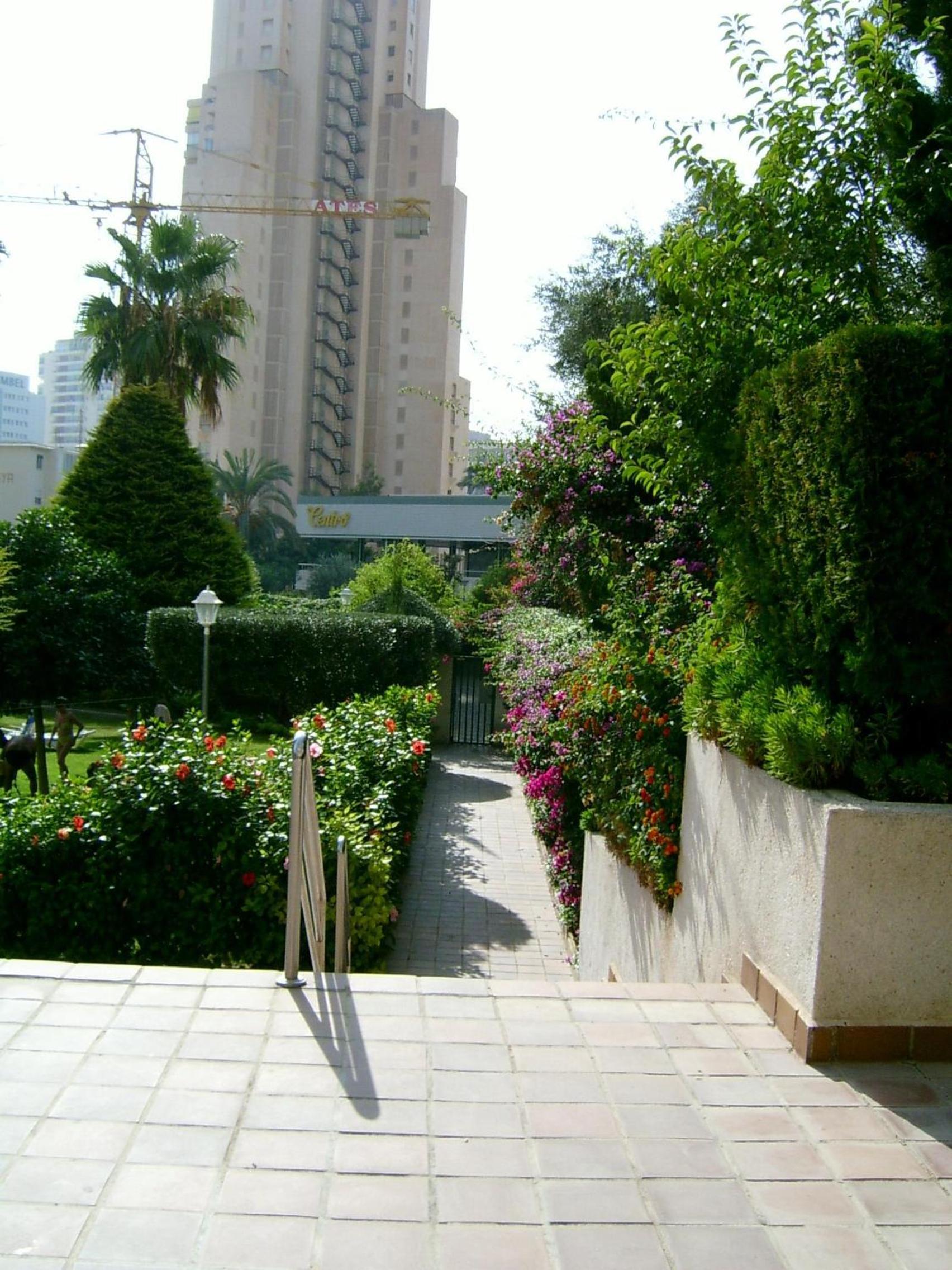 Photo 39