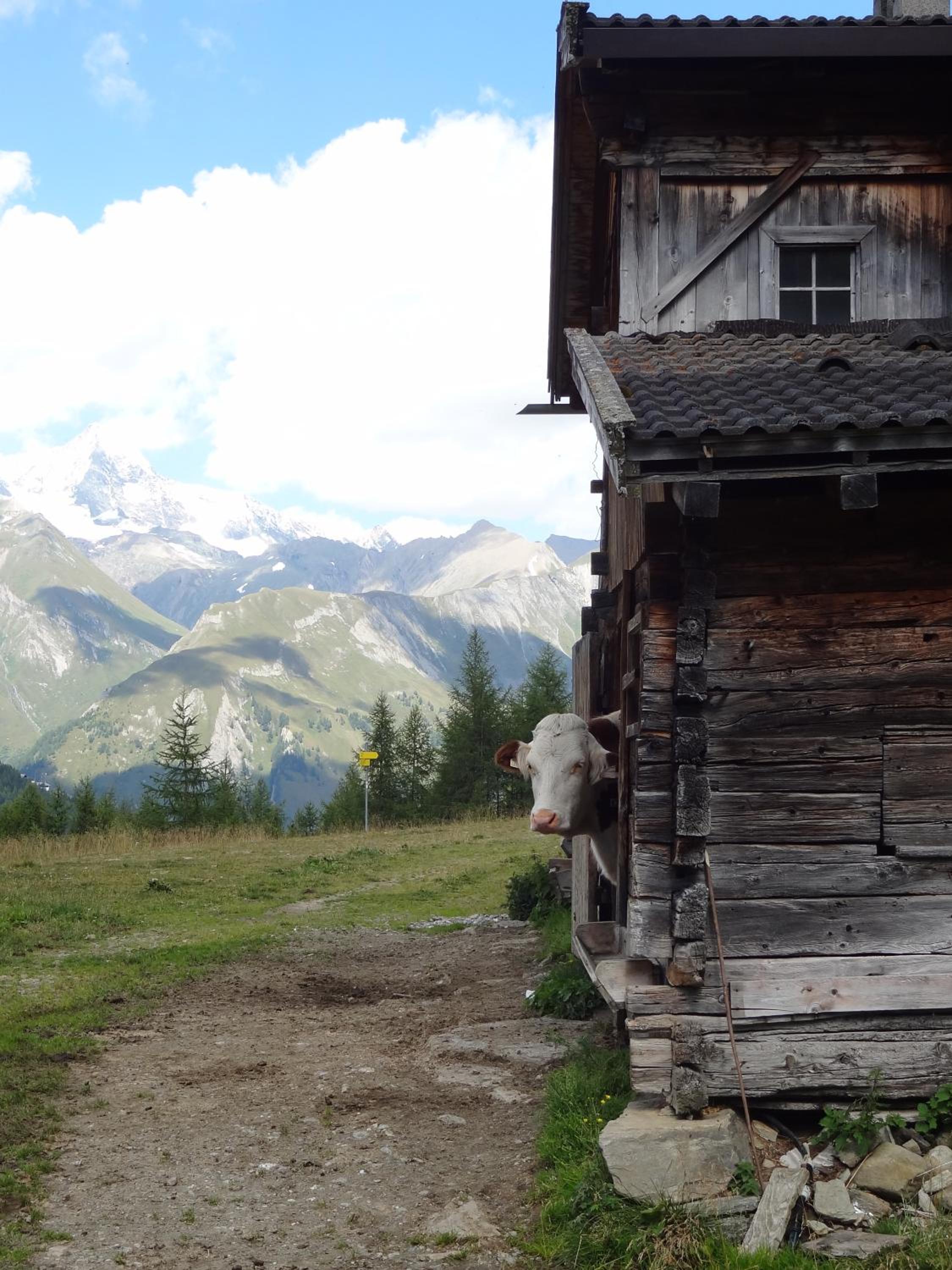 Ferienhaus Meins