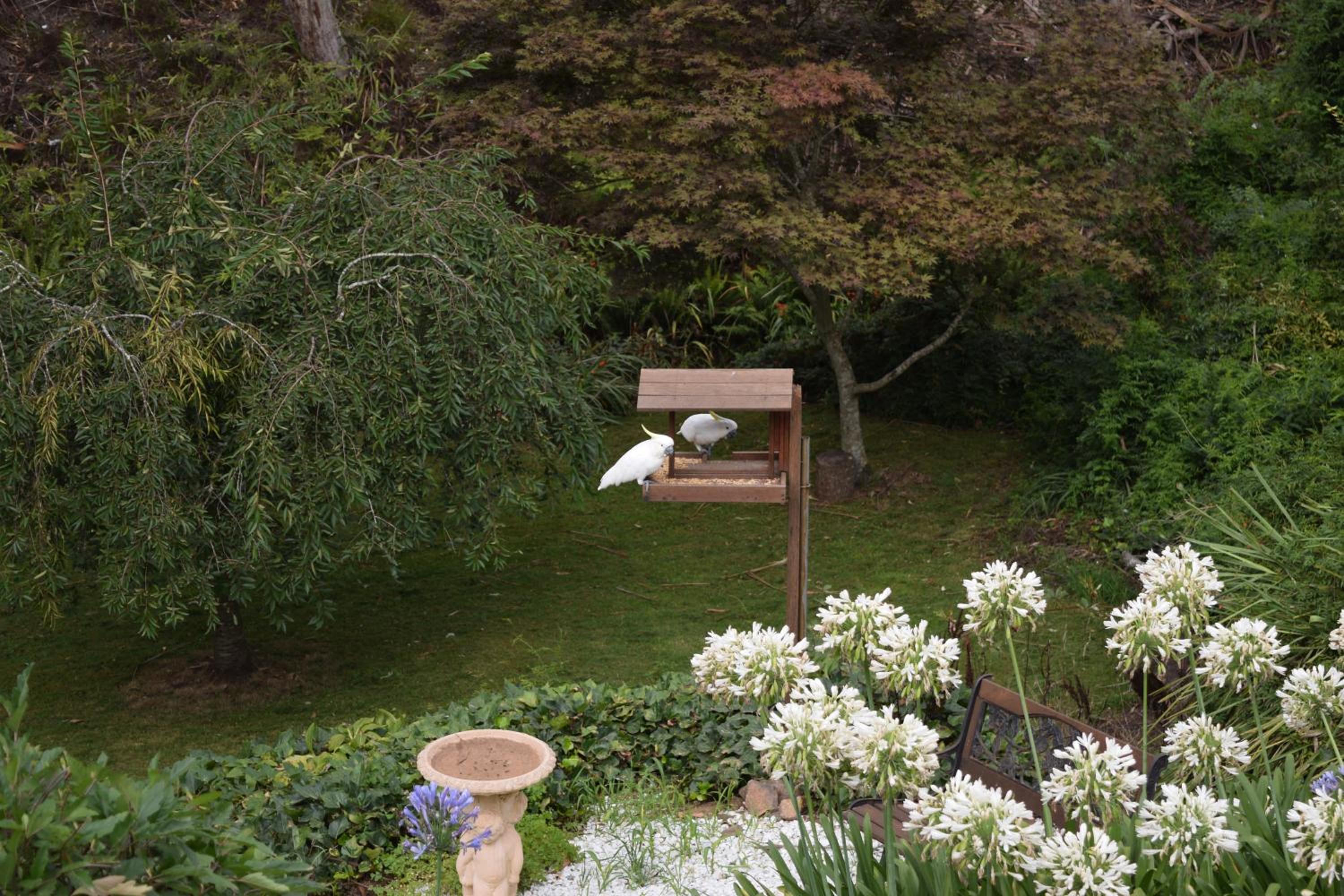 Bluebell Cottage