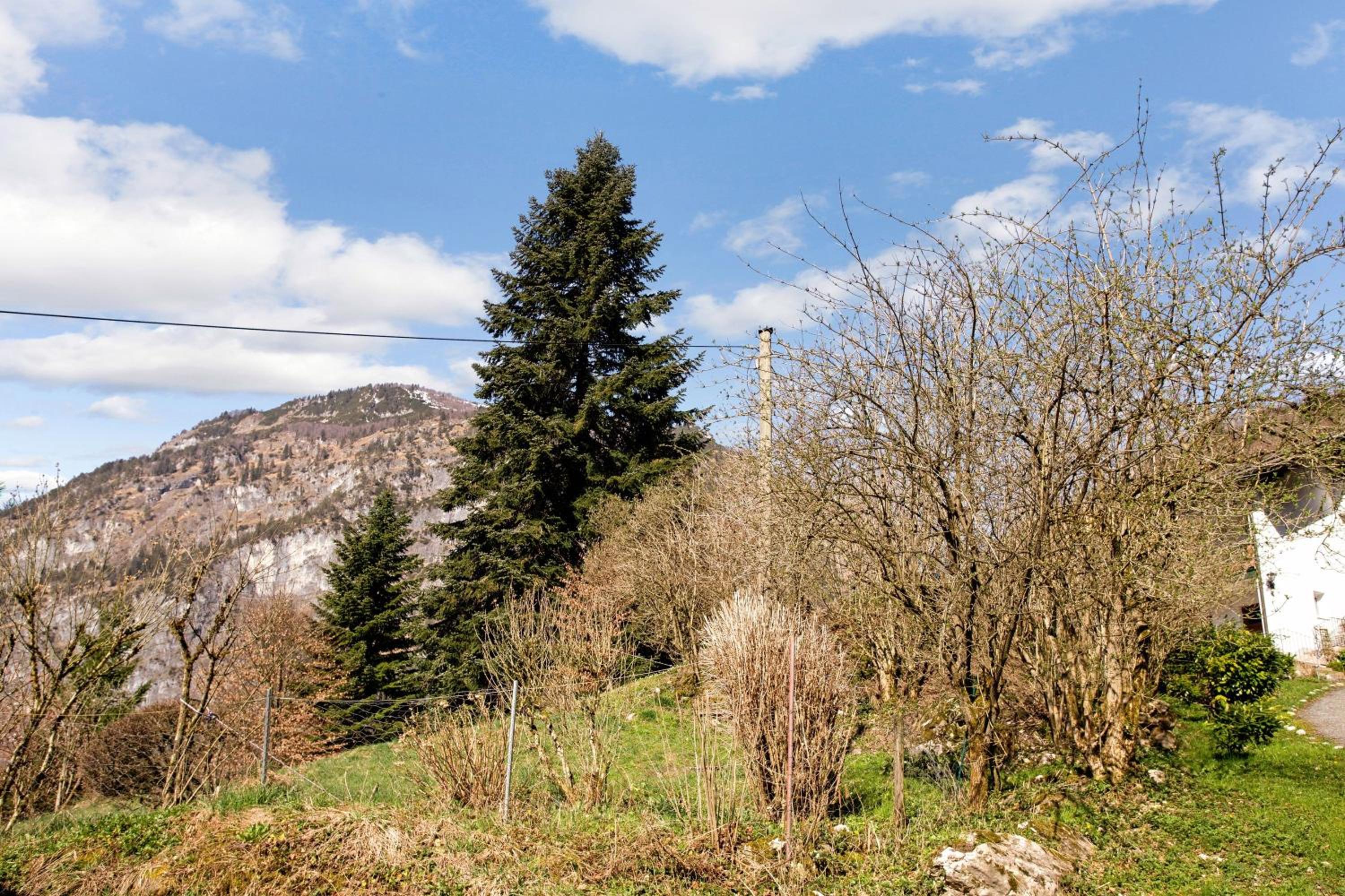 Ferienwohnung Haus Reiteralm view 2