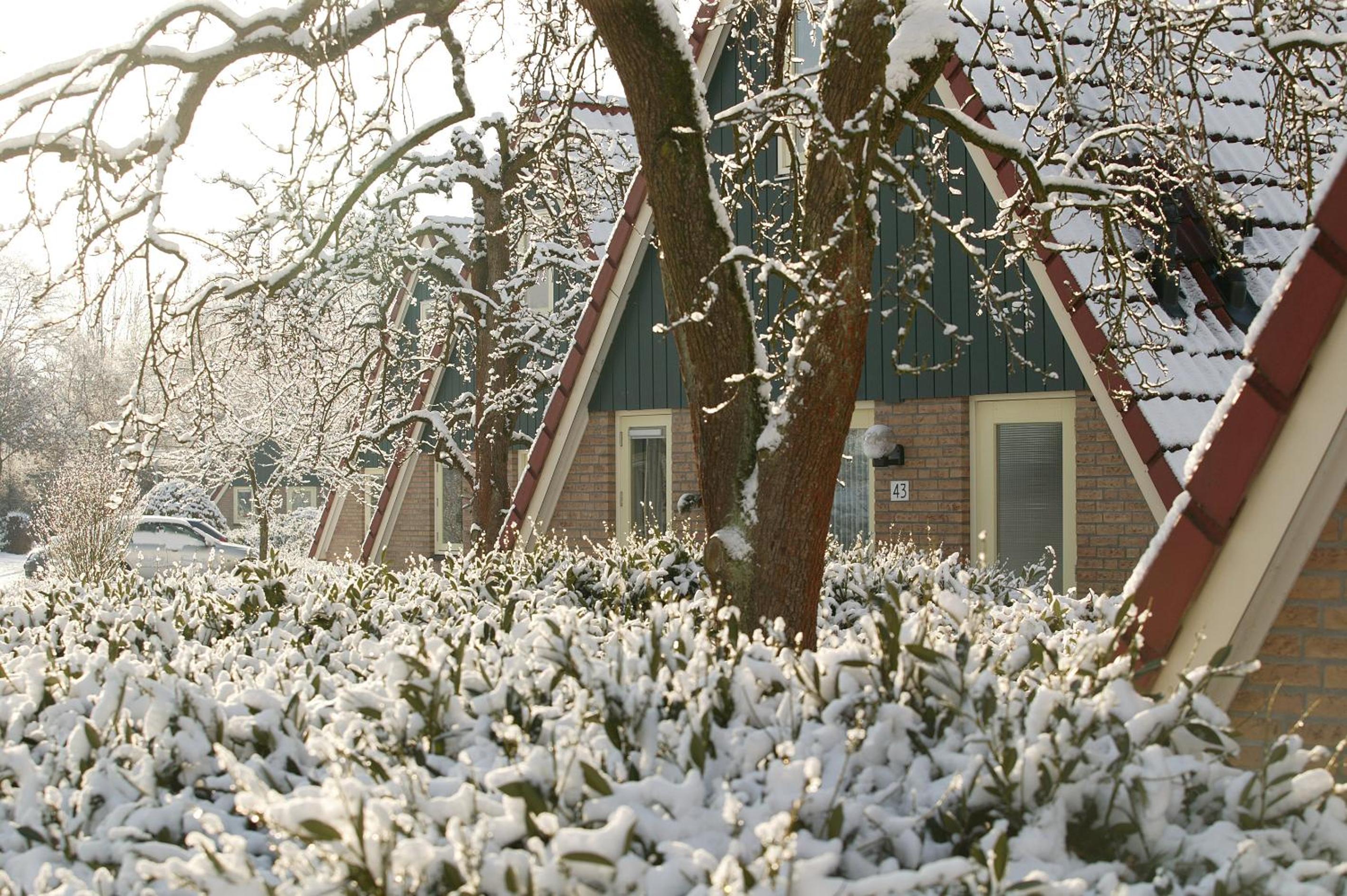 Vakantie bij Meeussen - Molendal