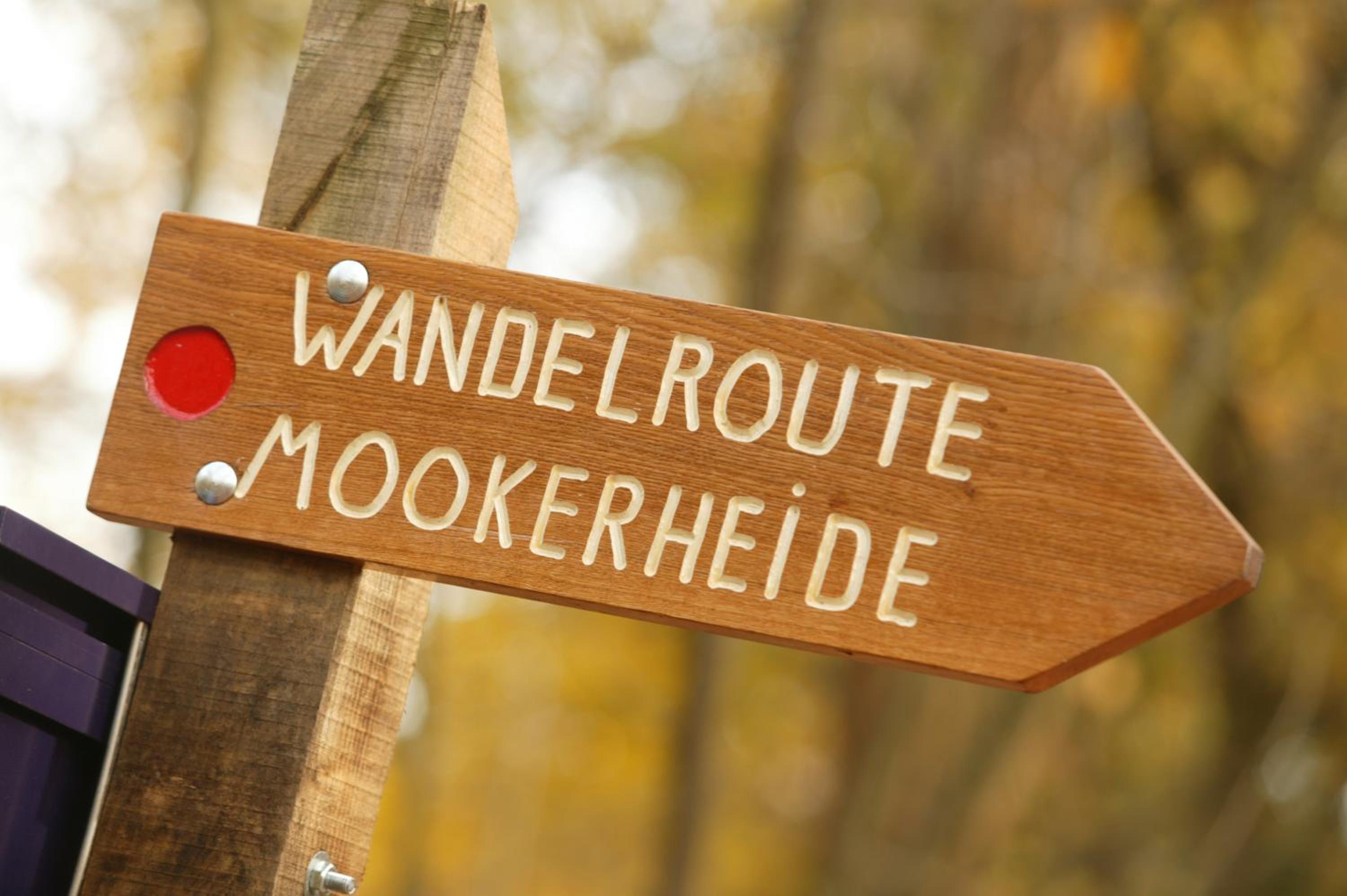 Vakantie bij Meeussen - Molendal