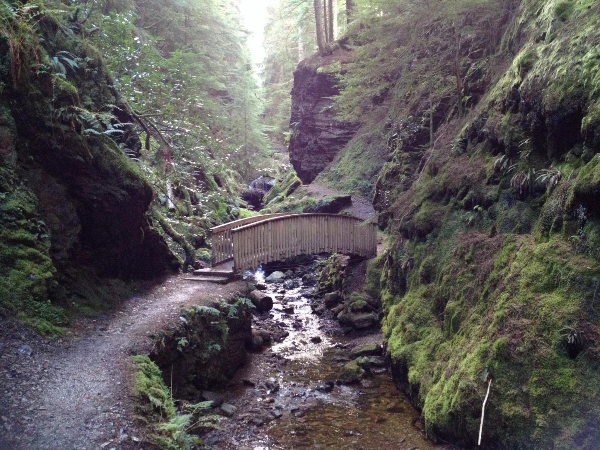 Pucks Glen Lodges - Log Cabins in a wonderful natural environment