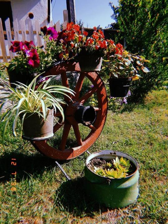 Vila Happy Story view 2